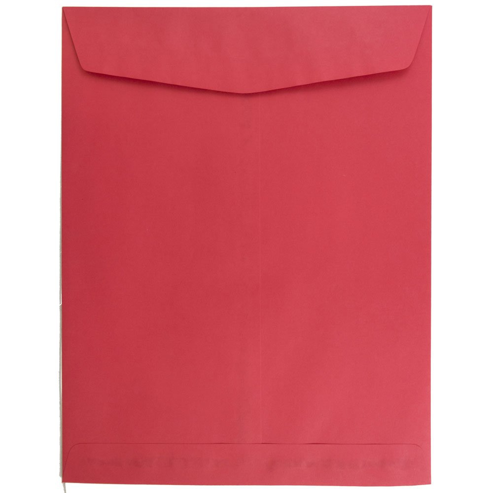 JAM PAPER 10 x 13 Inch Colored Open End Catalog Envelopes - 250 Pack Recycled Red Paper Mailing Envelopes for Business, Office, Mailing, Invitations & Greeting Cards