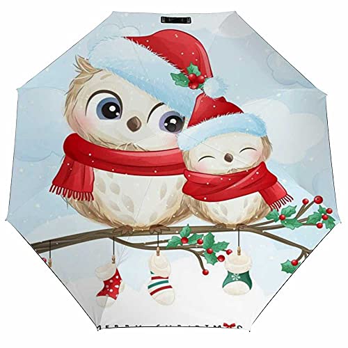 Cute Doodle- Owl Christmas Day Watercolor