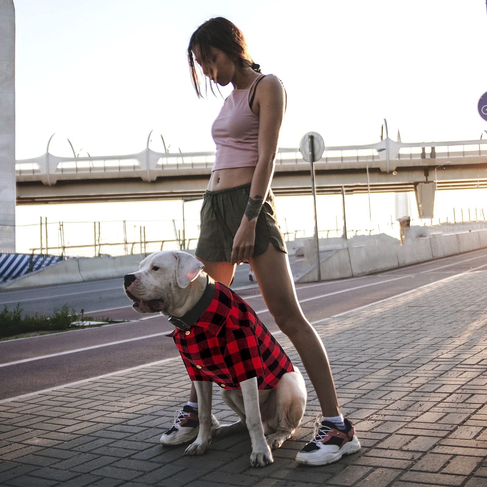 Red Buffalo Plaid Dog Shirt - Soft Casual Pet Clothes for Small Medium Large Dogs & Puppies | Halloween Thanksgiving Christmas Costume Outfit | Perfect for Holiday Photos & Family Gatherings
