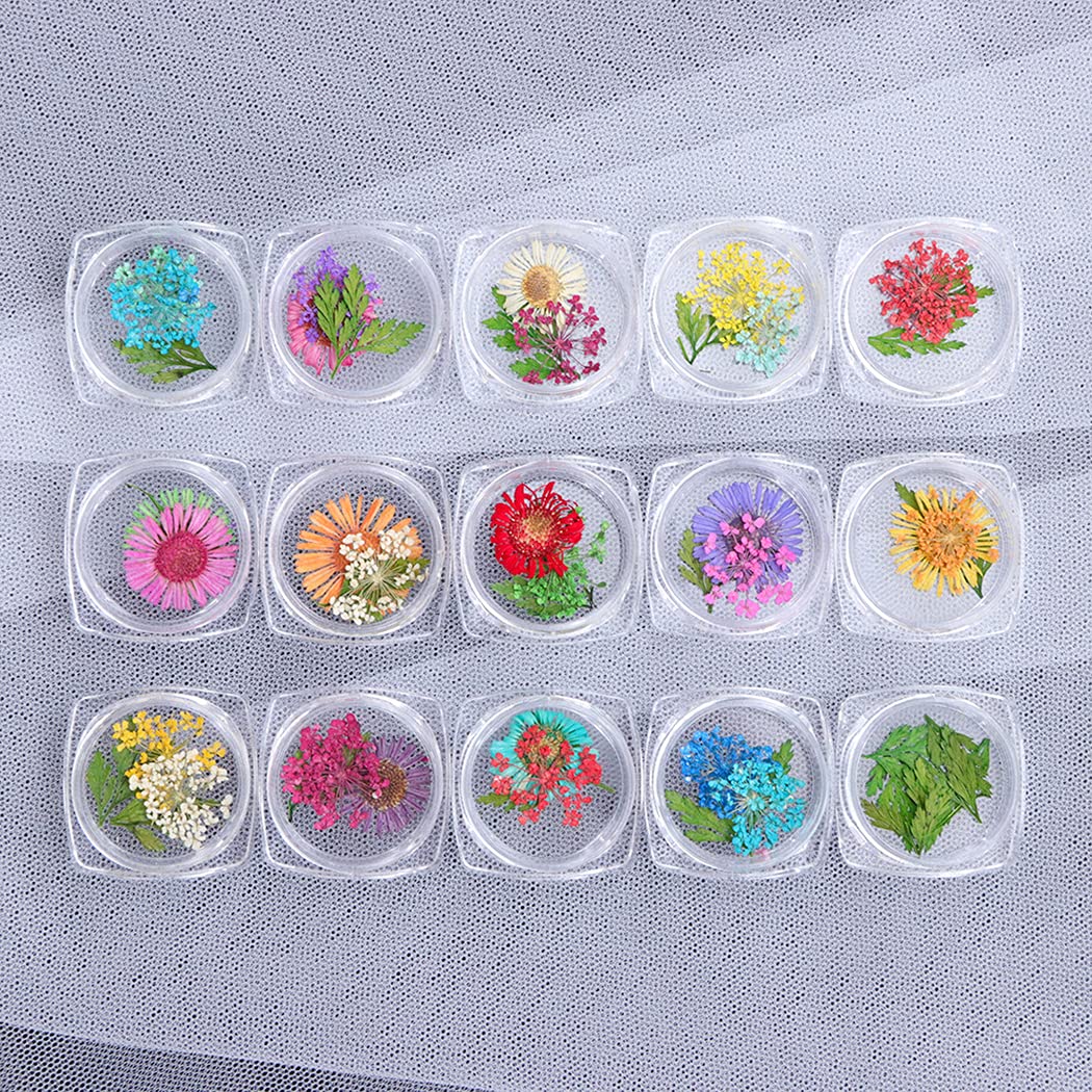CACAZI Natural Dried Flowers for Nail Art - DIY Pressed Flower Nail Accessories Kit with Nail Art Stones - Perfect for Manicure, Pedicure & Creative Nail Designs at Home or Salon