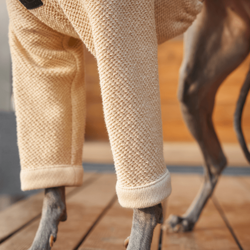 Hampton Sweater for Women & Men - Cozy Knit Pullover for Fall & Winter - Perfect for Casual Wear, Office, and Outdoor Activities