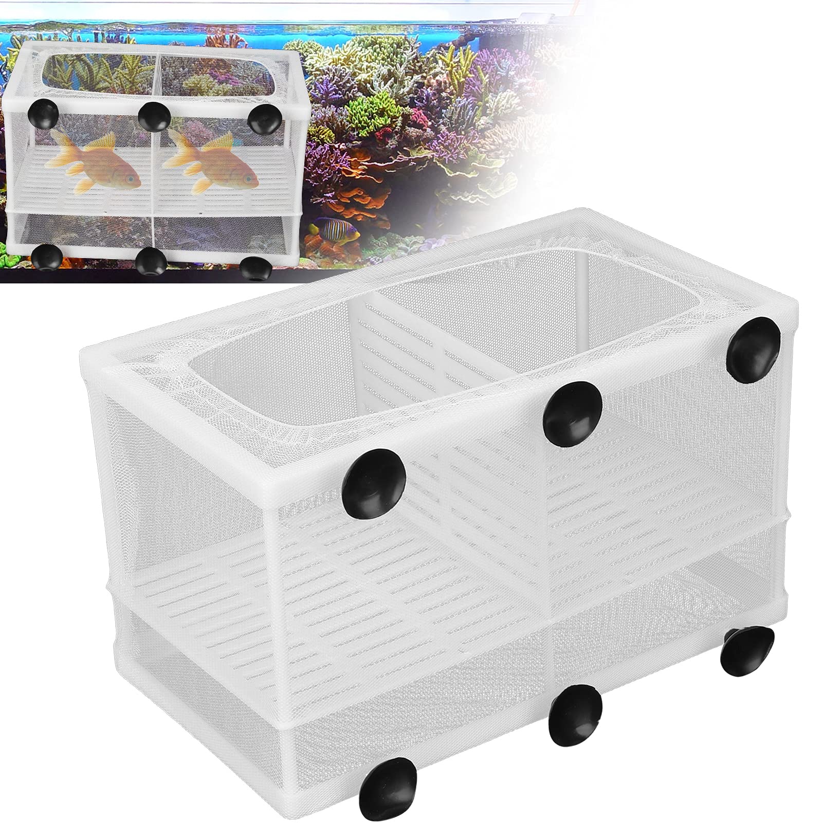 Fish Breeder Box with Suction Cups - Hatching Incubator & Isolation Tank for Small Fish (Large Size with Partition) - Perfect for Aquarium Breeding, Fry Protection & Tank Separation