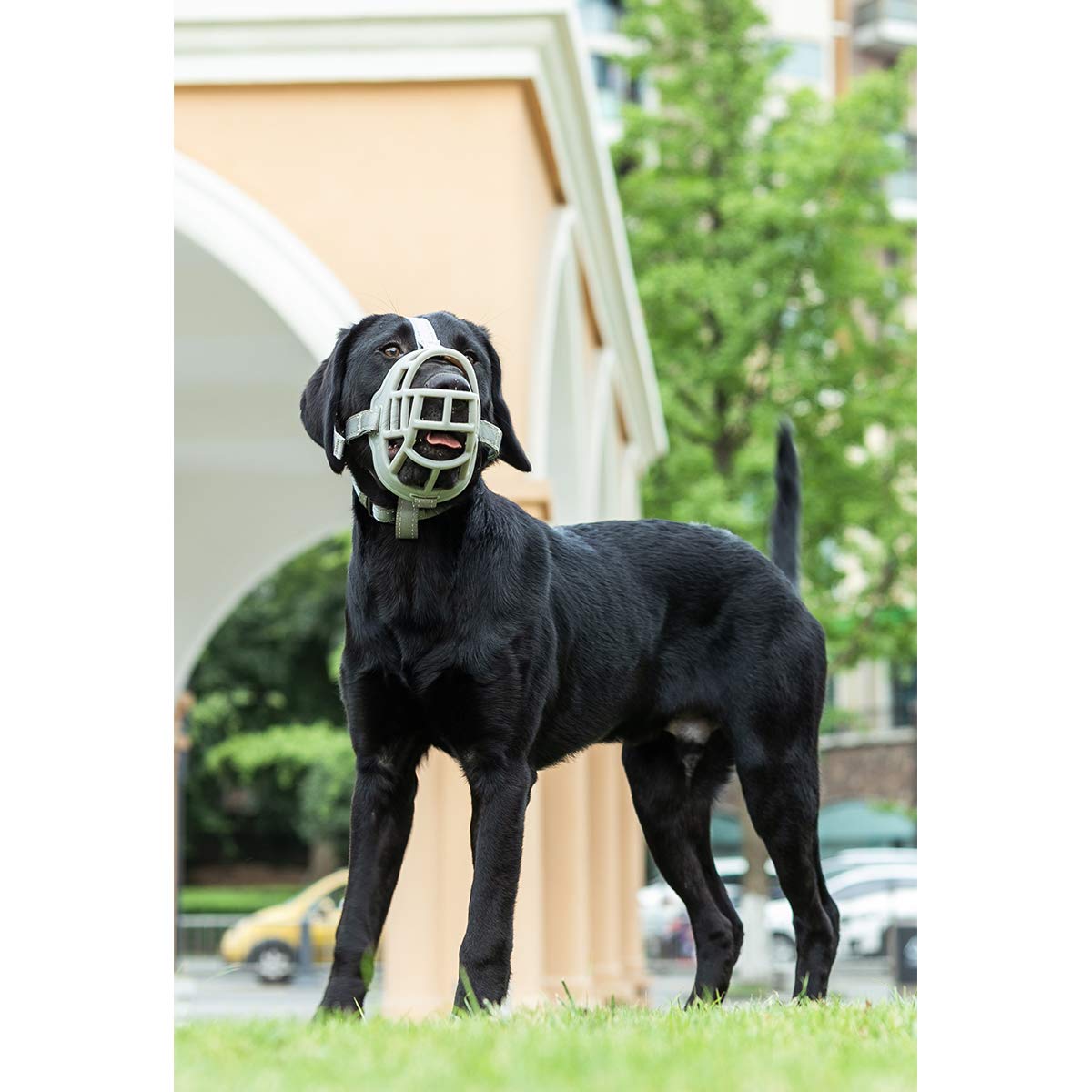 BARKLESS Soft Silicone Basket Dog Muzzle - Breathable & Drinkable Anti-Biting Chewing Barking Control for Small Medium Large Dogs - Includes Adjustable Collar & Training Guide - Perfect for Grooming, Vet Visits, and Public Outings