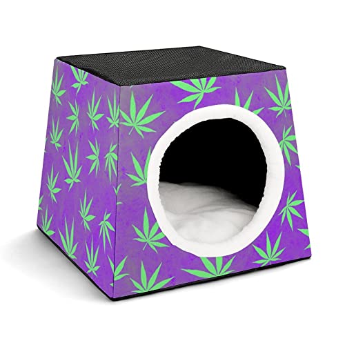 Color10