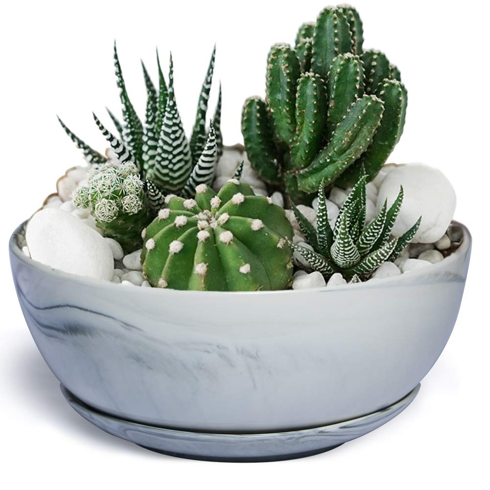 G EPGardening 10 Inch Large Marble Pattern Ceramic Planter Pot - Indoor/Outdoor Succulent & Flower Container for Home, Office, Garden Decor | Perfect for Plants, Herbs, and Decorative Displays