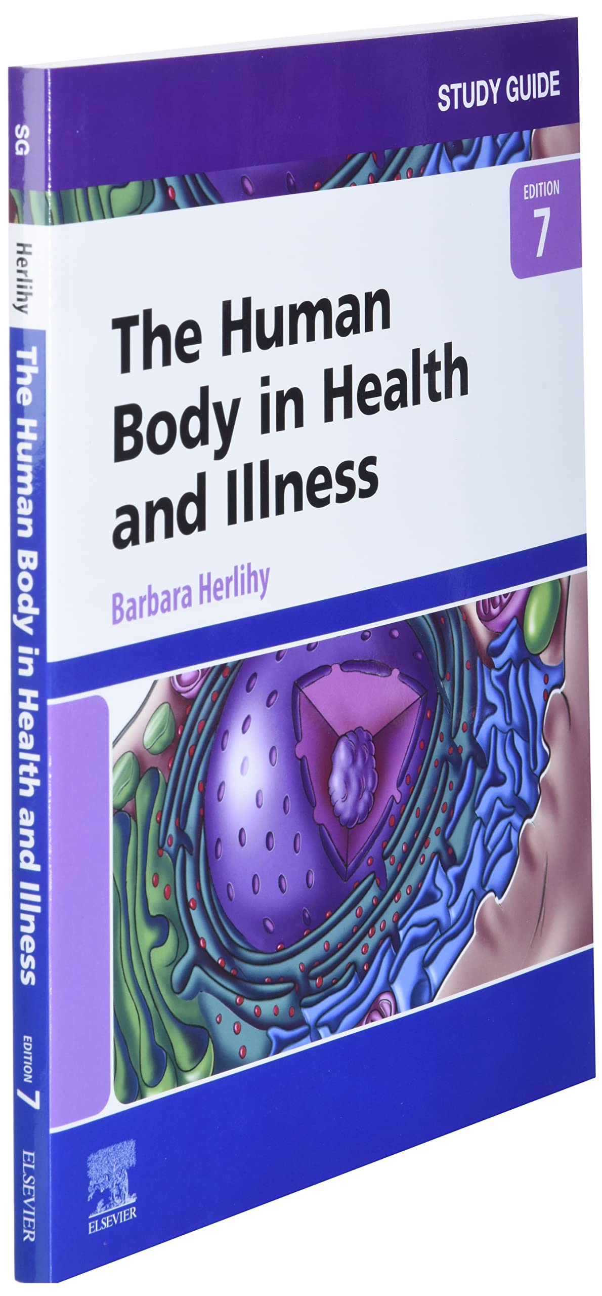 Human Body in Health and Illness Study Guide - Comprehensive Anatomy & Physiology Textbook for Nursing Students | Perfect for Medical School Prep & NCLEX Exam Review