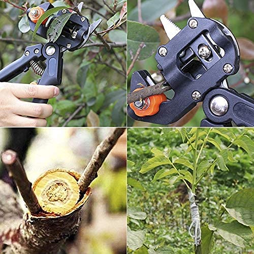 Professional Garden Shears - 2-in-1 Pruning Shear & Grafting Scissor for Trees, Plants & Gardening | Heavy Duty Gardening Tools for Trimming, Cutting & Plant Vaccination | Perfect for Home Gardeners & Professional Landscapers (Green)