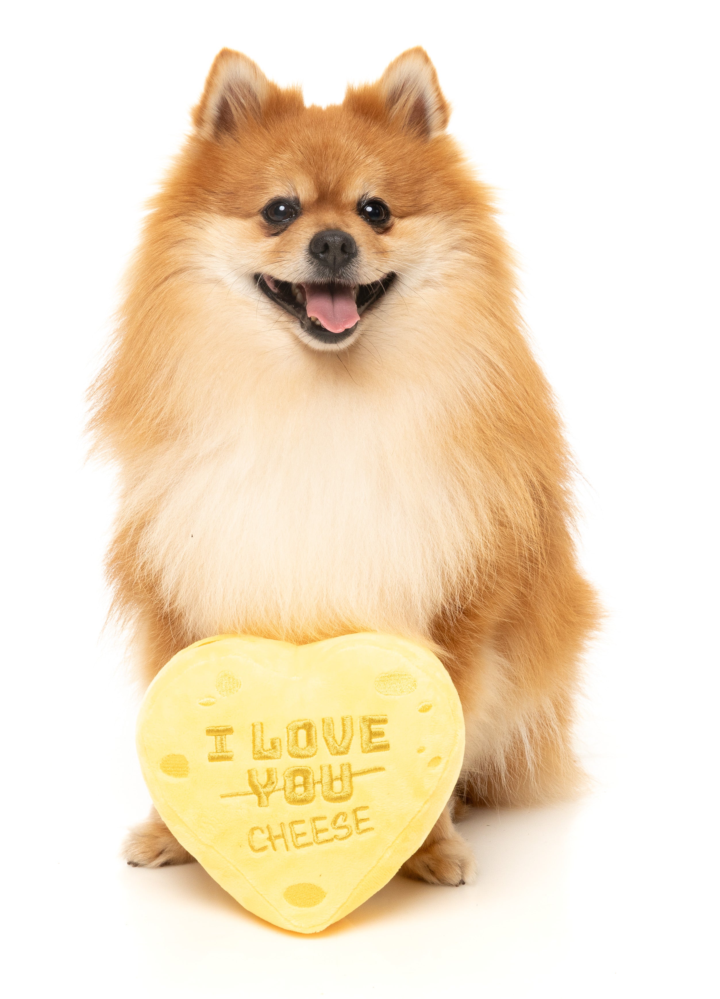 Fuzzyard Valentine's Day Plush Dog Toy - Cheese Heart Shaped Chew Toy for Small & Medium Dogs | Perfect for Playtime, Gifting & Puppy Training
