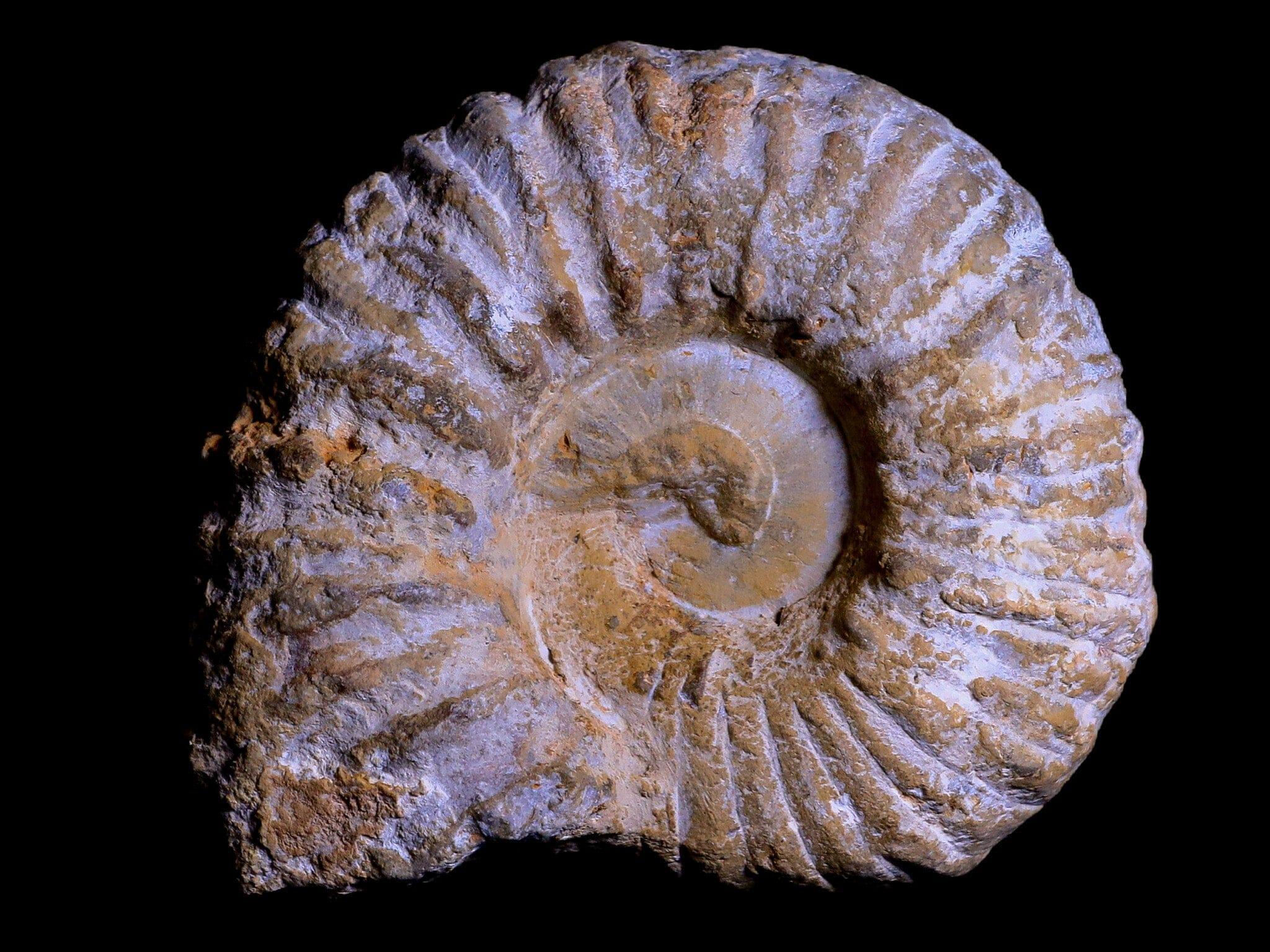 3.6