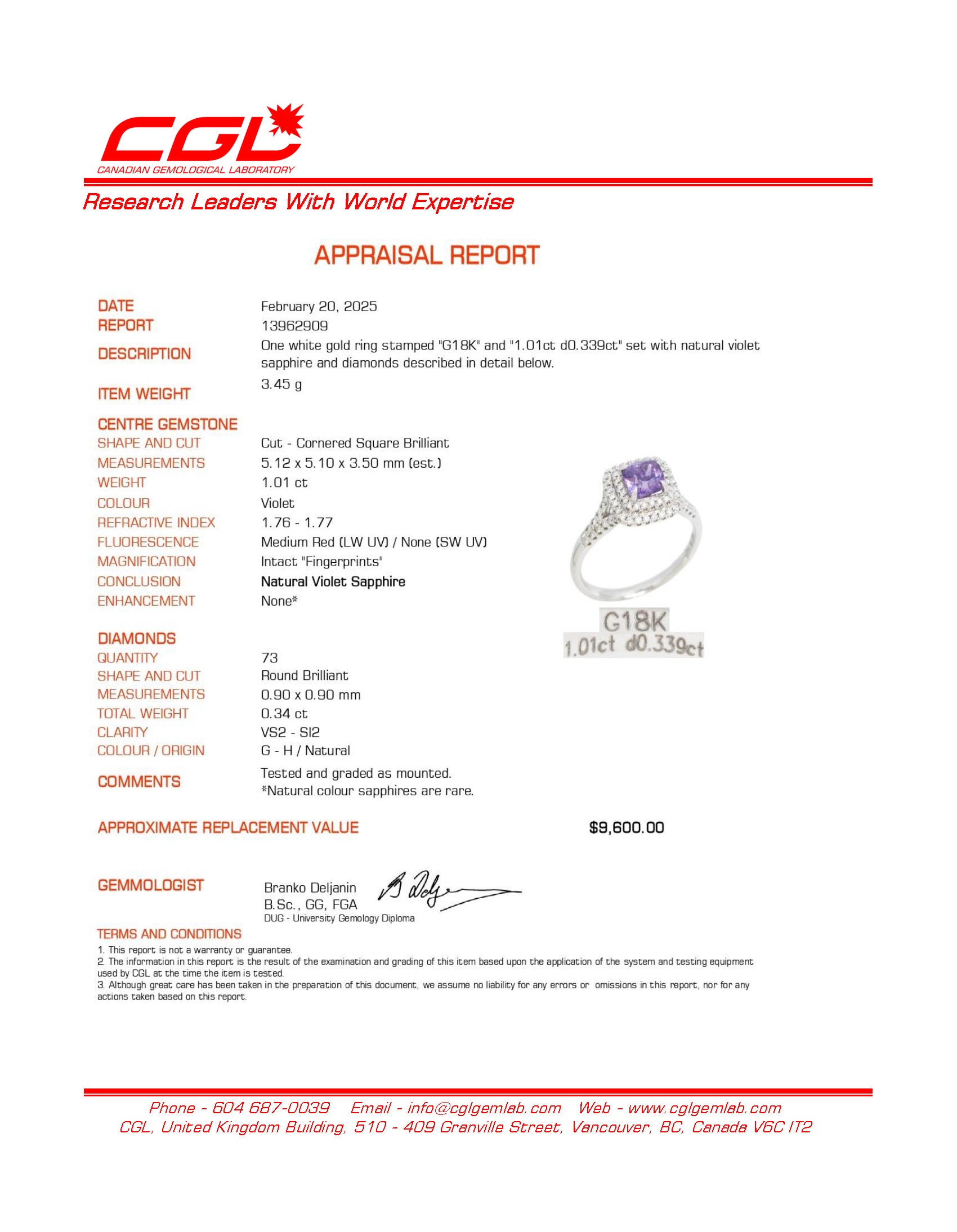 Natural Unheated Violet Sapphire and Diamond Halo Engagement Ring - 1.01ct Sapphire & 0.34ctw Diamonds - Size 6.25 - Perfect for Wedding, Proposal & Anniversary Gifts