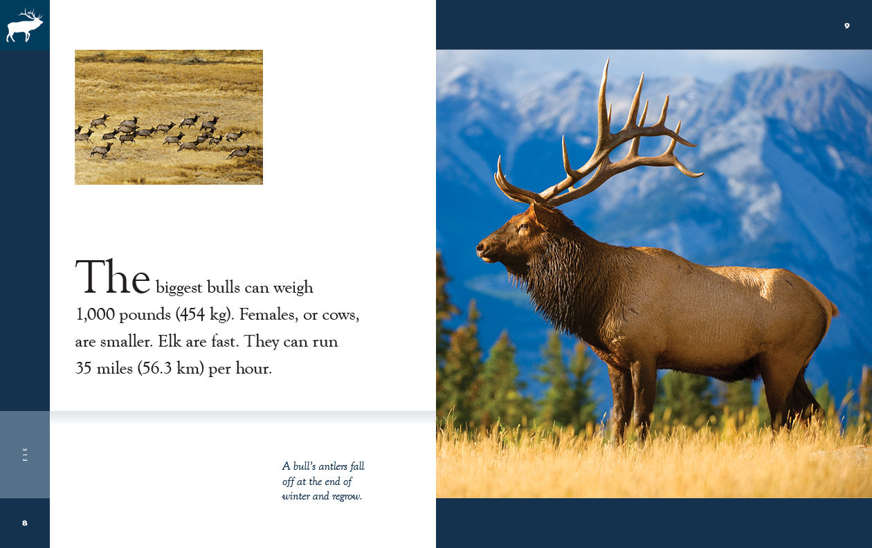 Elk: 9781640265622 - Wildlife Book for Nature Enthusiasts | Perfect for Outdoor Adventures & Animal Research