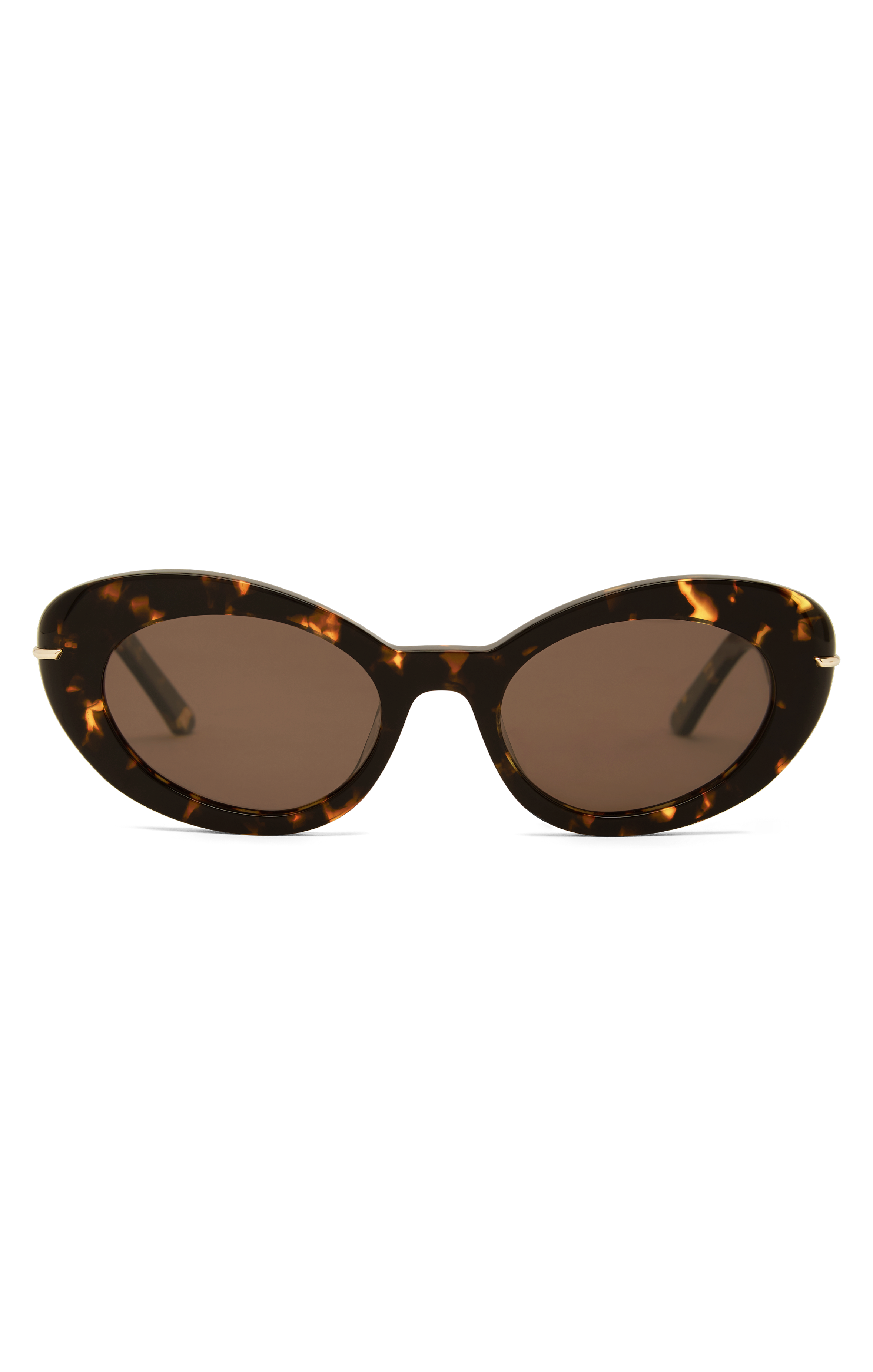 Banbè Eyewear The Rocha Sunglasses - Polarized Tortoise Shell Frame UV Protection for Men & Women | Perfect for Beach, Driving & Outdoor Activities