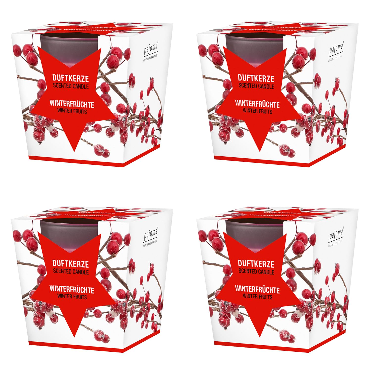 Winter Fruits Scented Candles Set of 4 - 124g Each, 25-Hour Burn Time in Elegant Satin Glass & Gift Packaging | Home Decor, Aromatherapy, Holiday Gifts