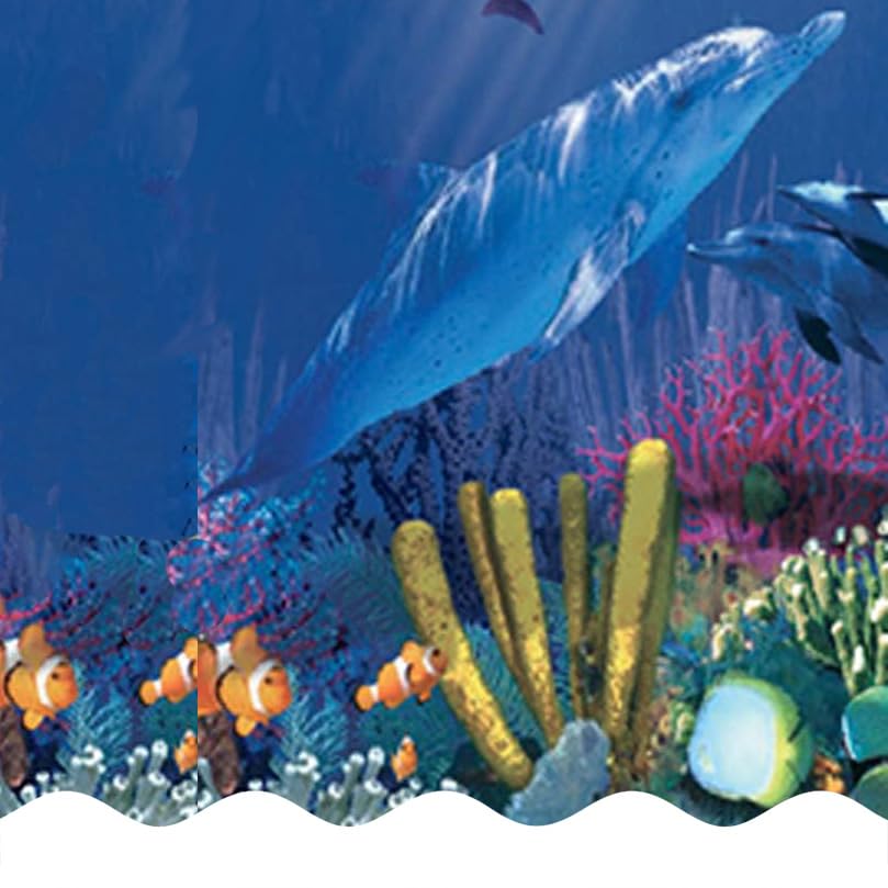 Antilles Dolphin