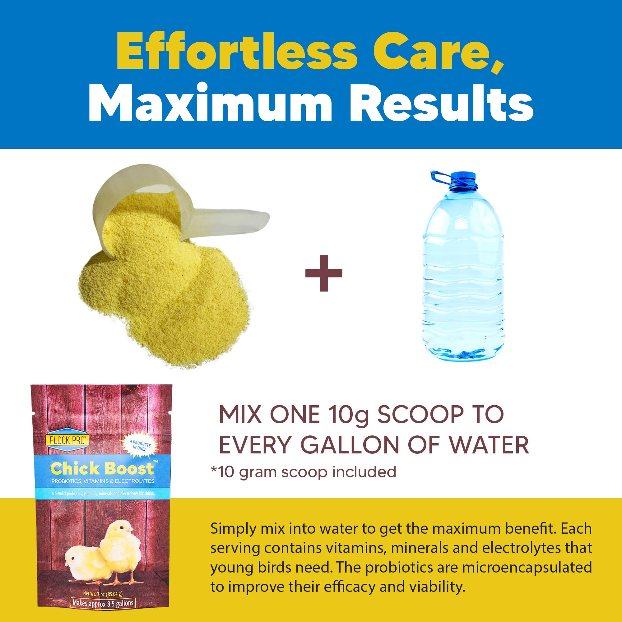 Flock PRO Chick Boost Probiotic for Chickens - Essential Vitamins, Minerals & Electrolytes Supplement | Poultry Health Booster for Strong Immunity & Growth (3Oz) - Perfect for Broilers, Layers & Backyard Flocks