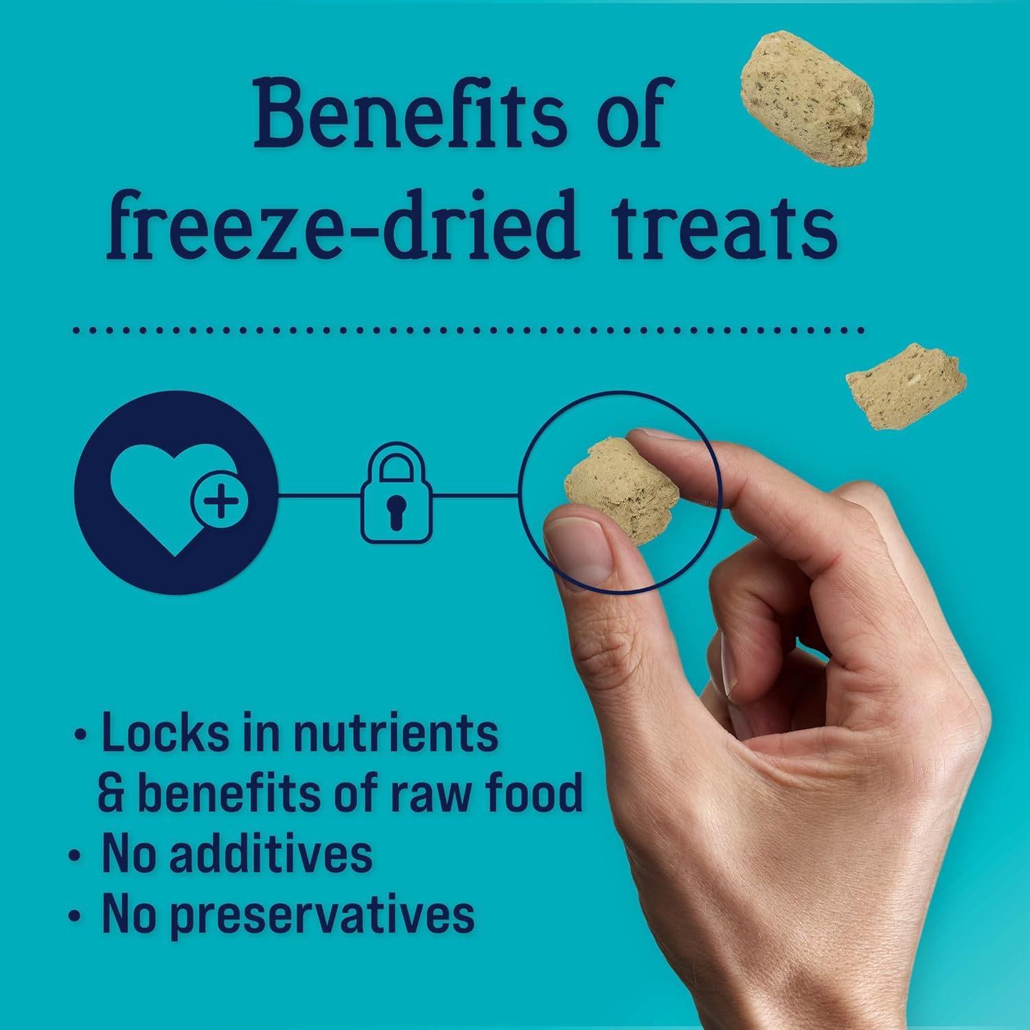 Premium Freeze-Dried Dog Treats - Chicken & Vegetable Recipe with Vitamin E for Immunity Support | Grain-Free, 8oz Resealable Pouch | Made in USA | Perfect for Training, Rewards & Digestive Health