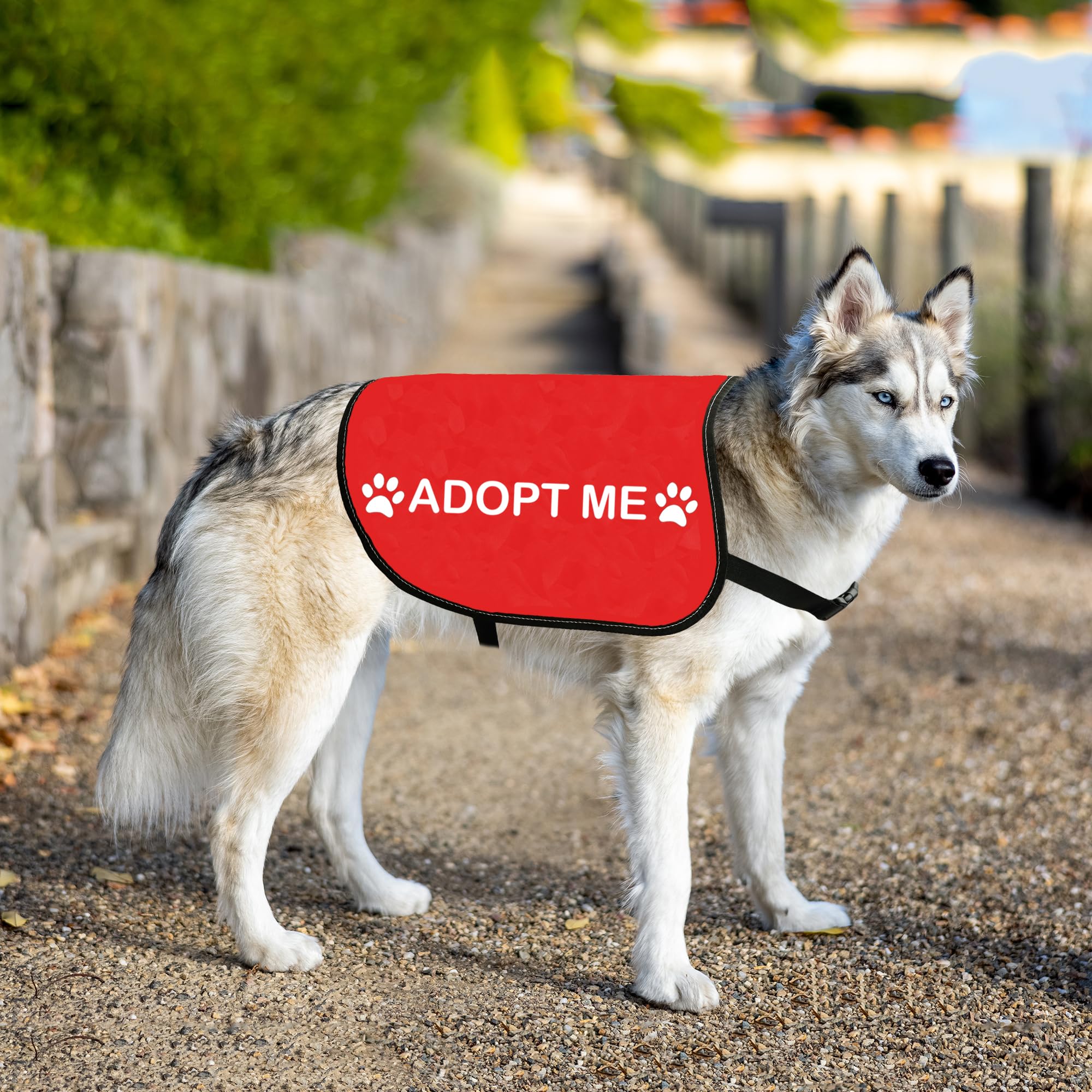 HOLLP Rescue Dog Jacket Vest - ADOPT ME Service Dog Apparel for Working Dogs - Reflective Safety Vest for Pet Adoption Events & Training (Medium Size) - Perfect for Outdoor Activities & Public Service