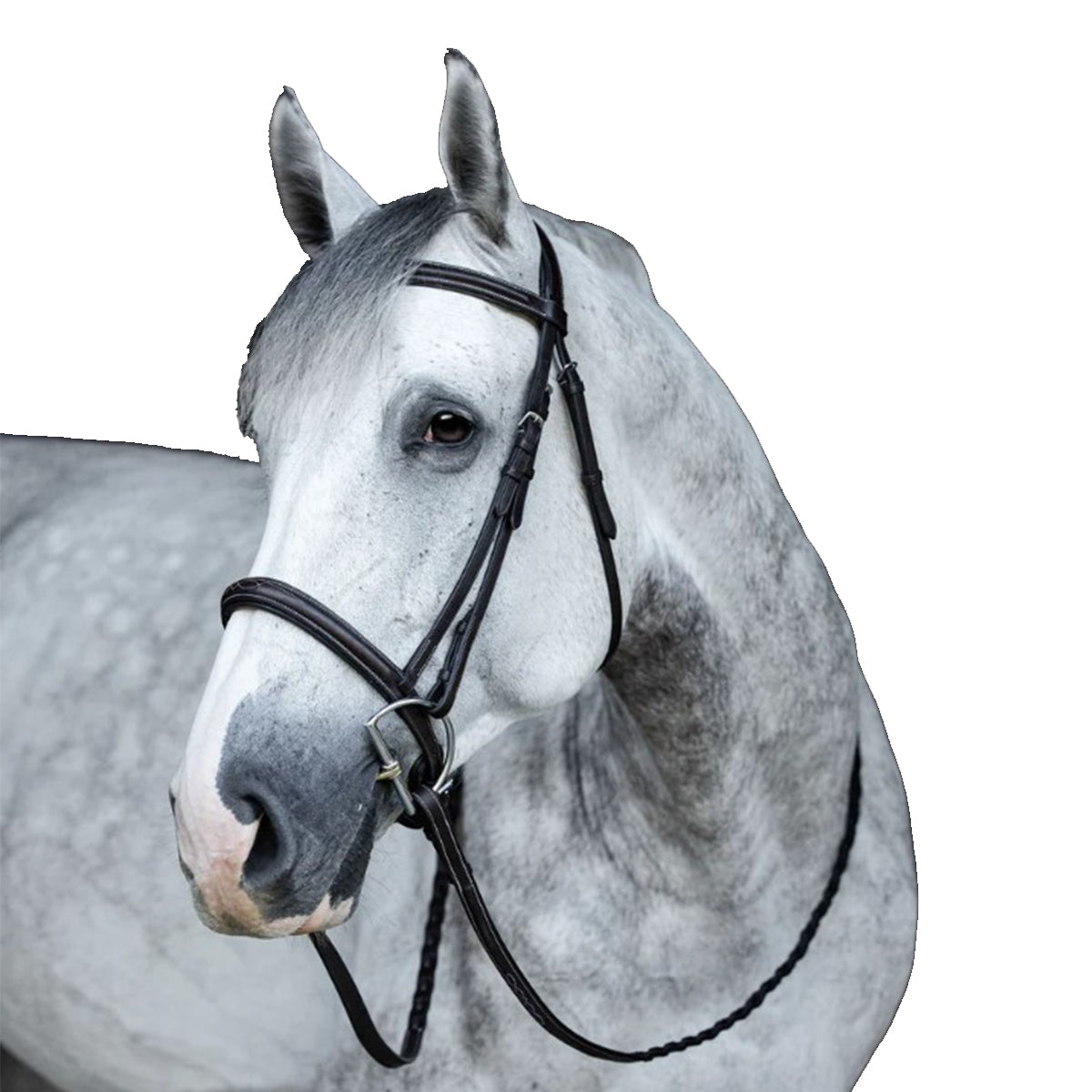 EHI ProSeries Perfect Reins - Professional Horse Training Reins for Equestrian & Dressage | Durable Leather Riding Equipment for Show Jumping & Western Riding