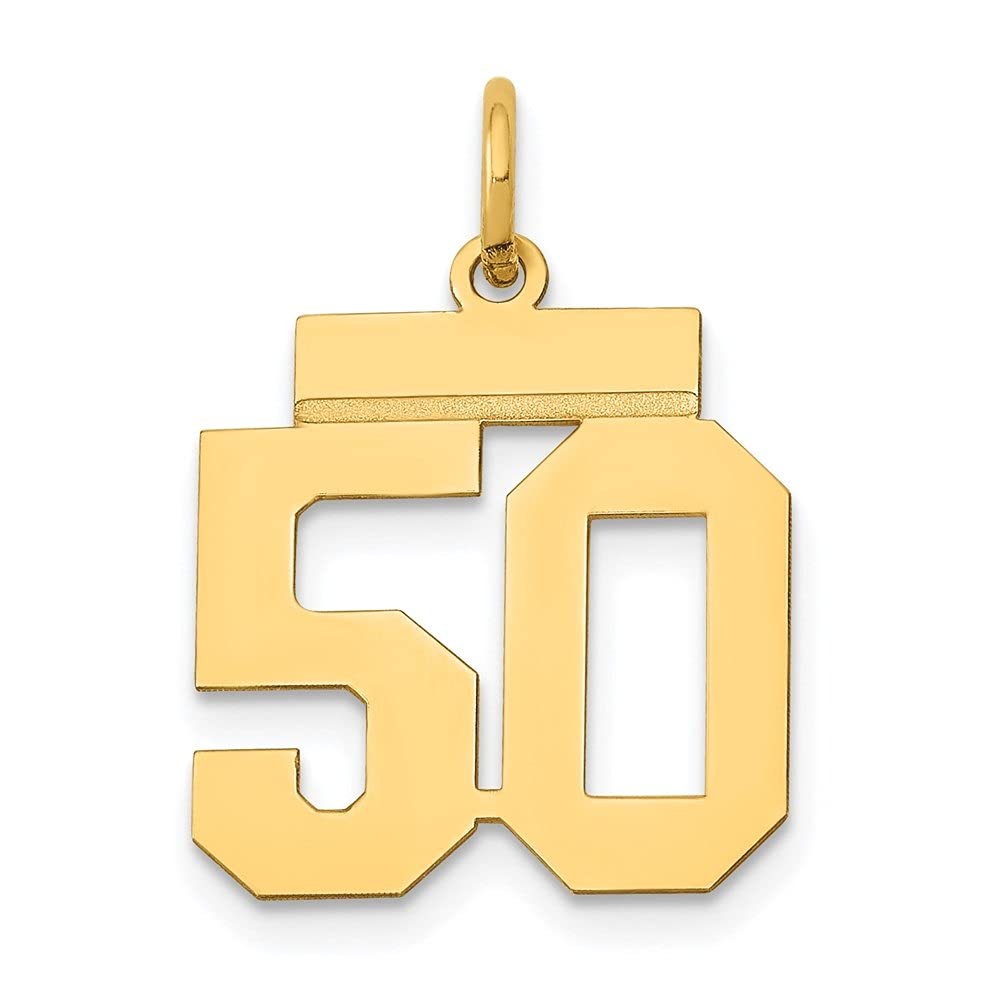 14K Yellow Gold Small Polished Number Charm Pendant Necklace - Dainty Women's Jewelry Gift for Birthday, Anniversary & Everyday Wear