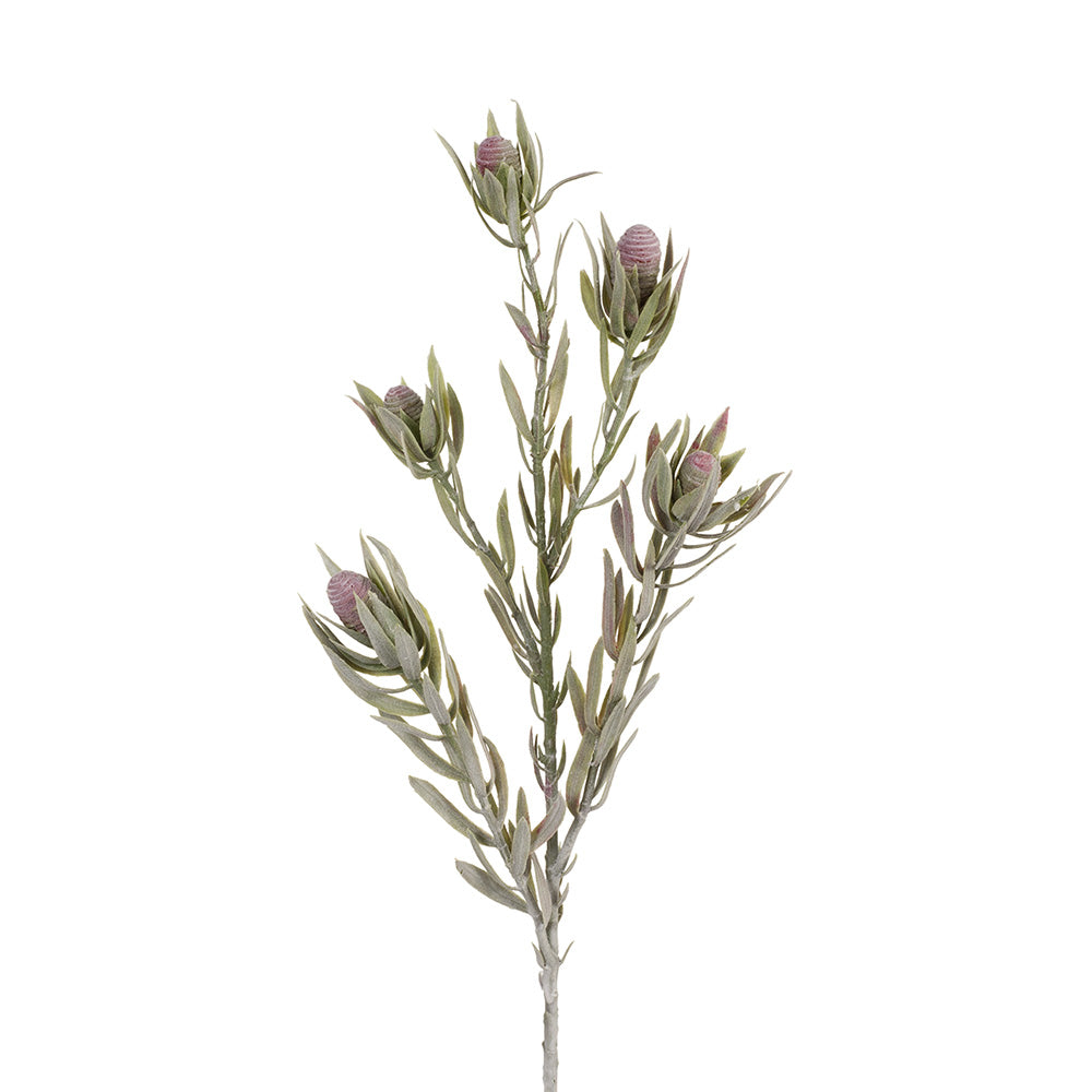 Premium Protea Leucadendron Spray - Dried Floral Arrangement for Home Decor, Wedding Centerpieces & Boho Chic Interior Design