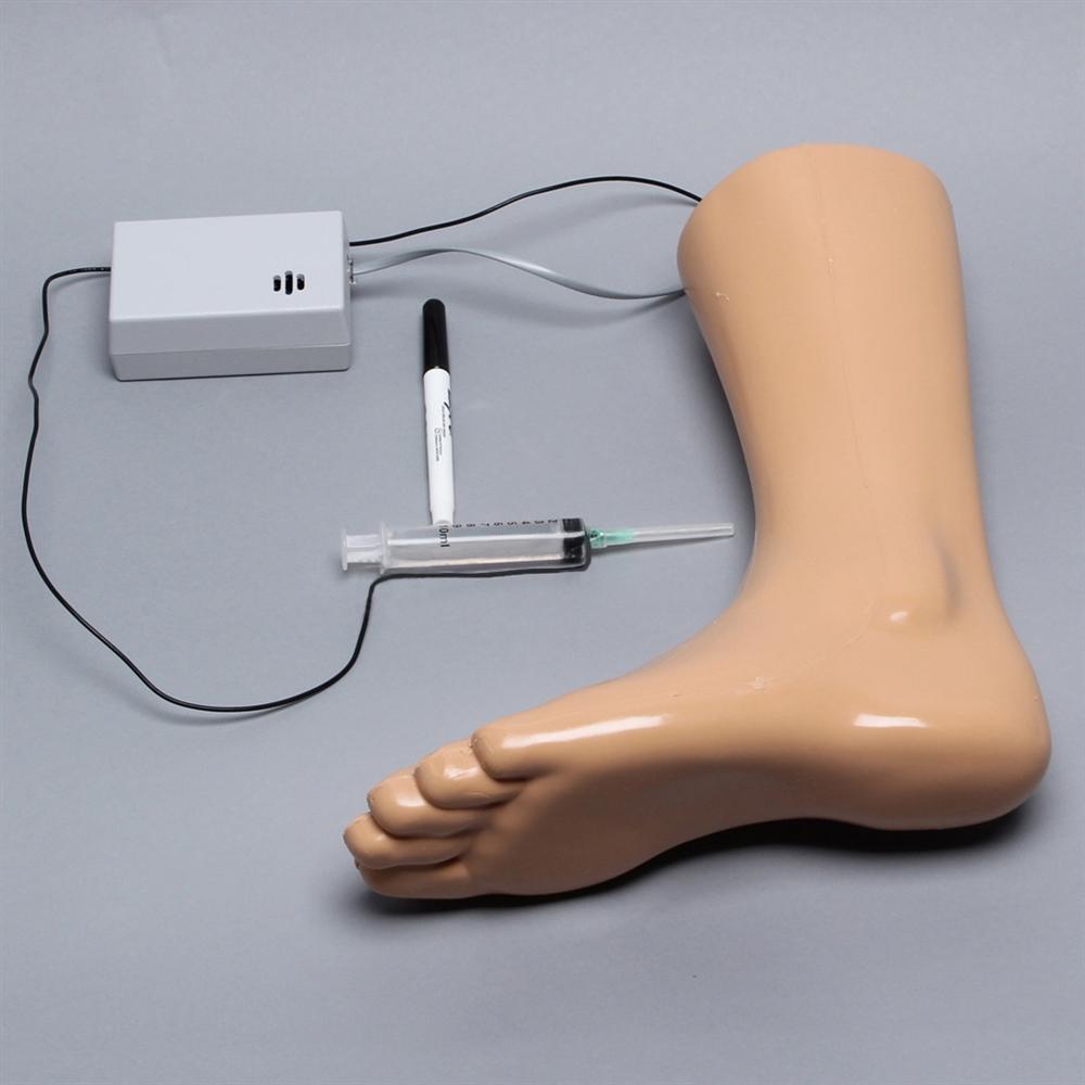 Foot and Ankle Injection Model - Medical Training Simulator for Podiatry Students & Professionals - Perfect for Clinical Practice, Demonstration & Skill Development
