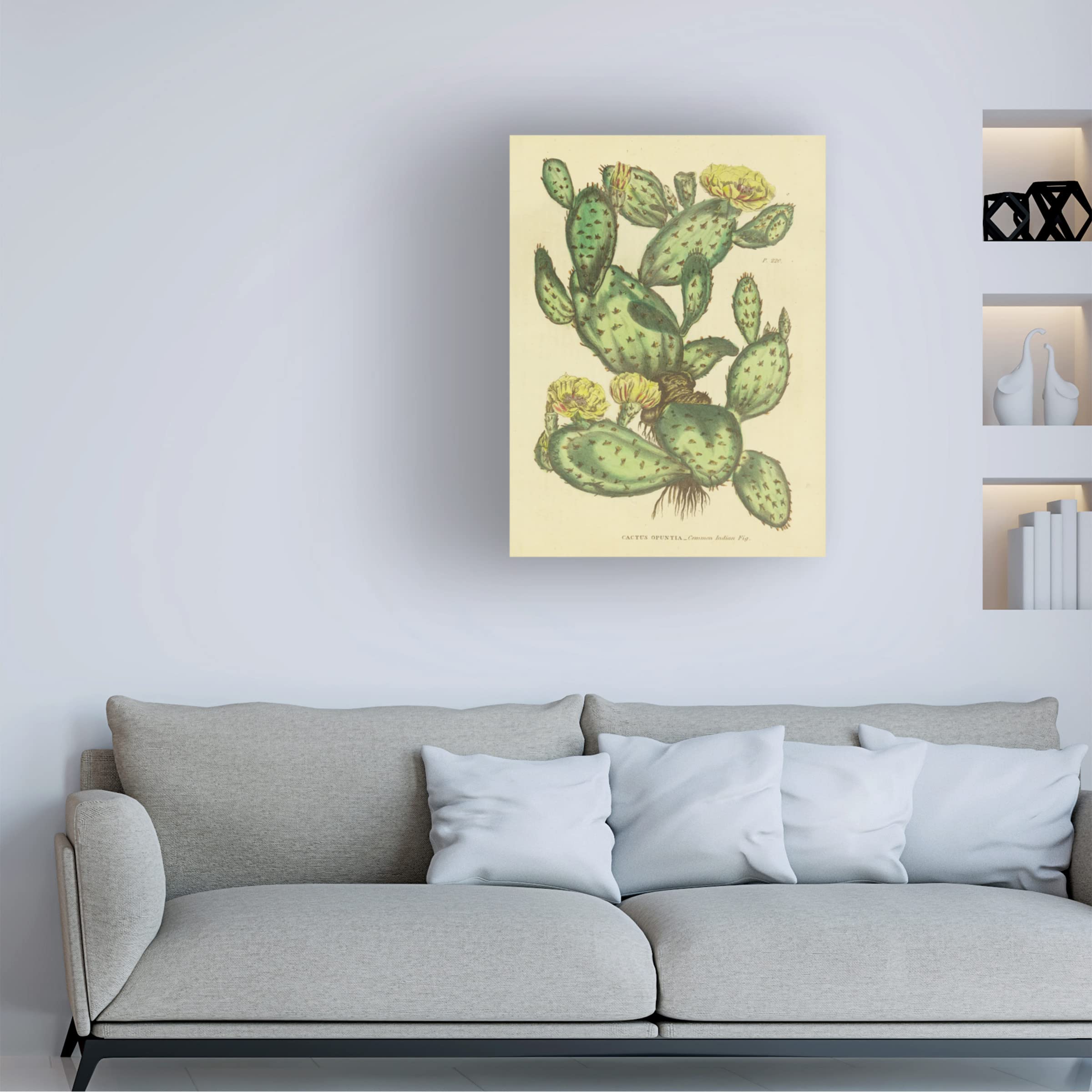 Trademark Fine Art 'Herbal Botanical XXIX' Canvas Wall Art Print by Wild Apple Portfolio - Nature Inspired Home Decor for Living Room, Bedroom & Office