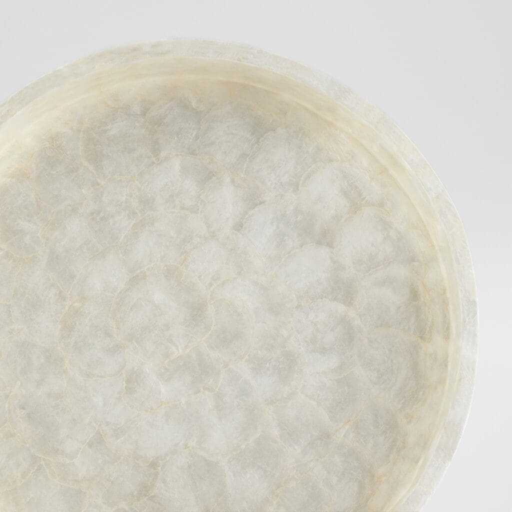 Cyan Design 11688 Triton 16 Inch Round Tray - Pearl Finish Small Decorative Tray for Home Decor, Bathroom Vanity, Jewelry Display & Coffee Table Organization