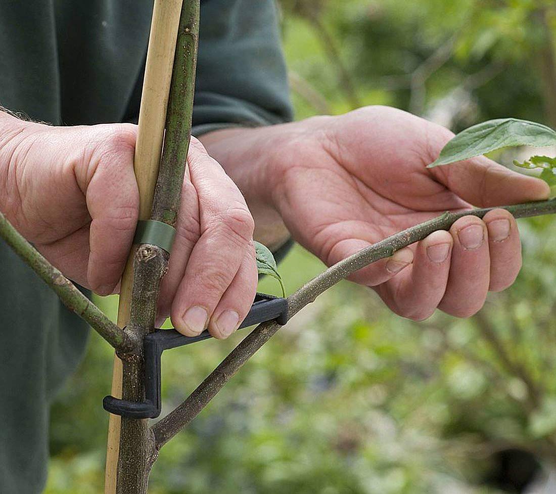 Premium Fruit Tree Limb Spreader - Strengthen Apple & Fruit Tree Branches | 25-Pack | German-Made | Perfect for Orchard Training & Home Garden Pruning