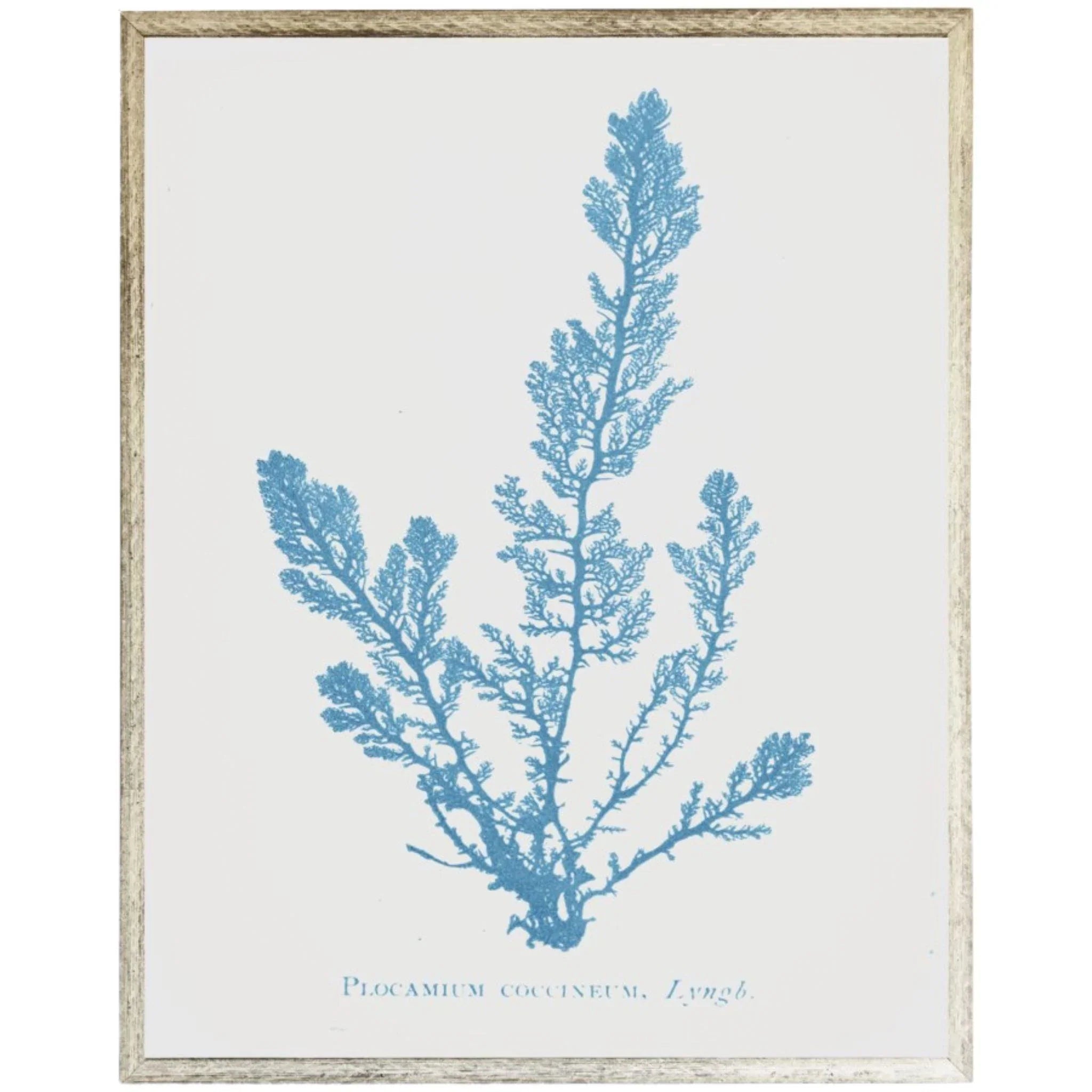 Blue Coral Framed Wall Art - Ocean Themed Home Decor for Living Room, Bedroom & Office | Ready to Hang Coastal Style Painting