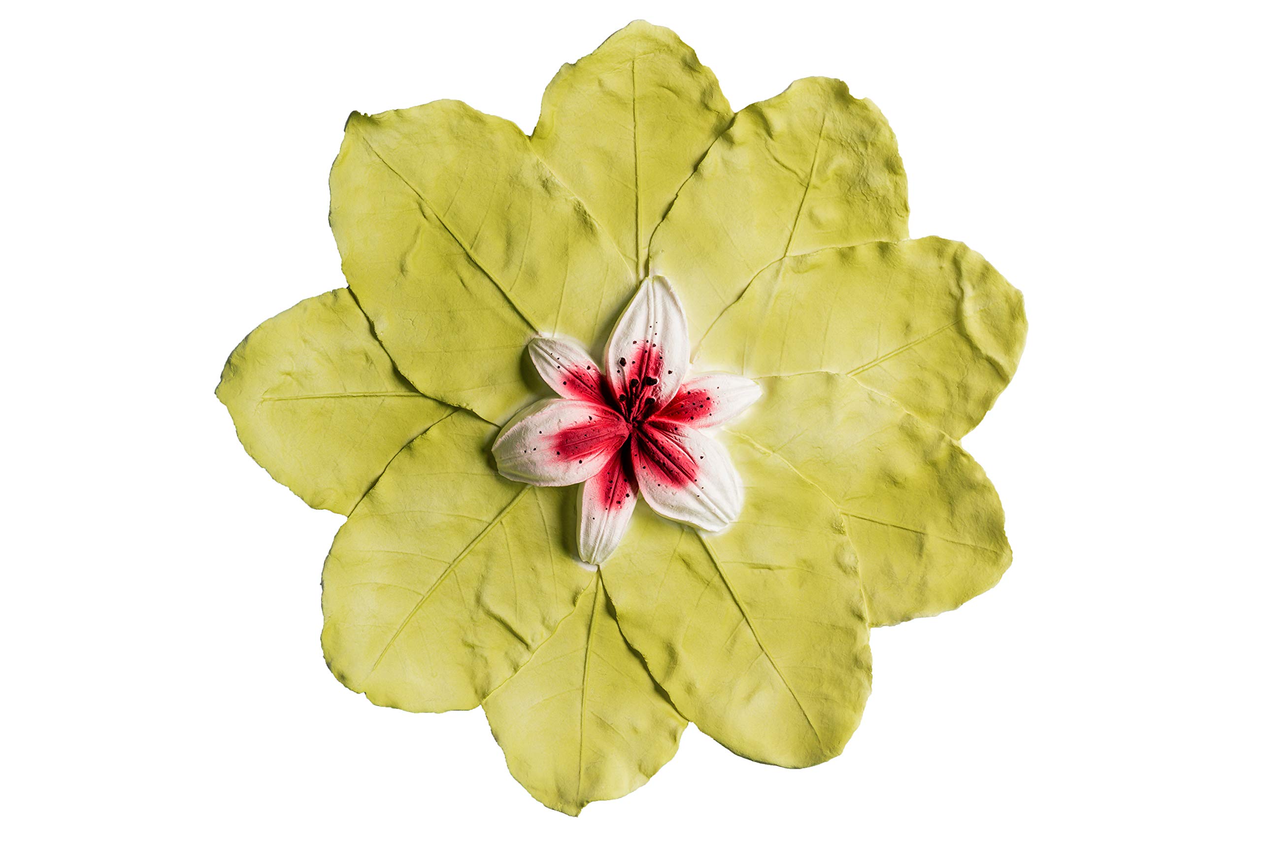 Biodegradable Cremation Urn for Water Burial - Eco-Friendly Scattering Urn for Ashes in Ocean, Sea or Ground, Water Soluble & Floating Design, Large Adult Size - Perfect for Memorials, Eco-Conscious Funerals & Natural Ash Scattering Ceremonies