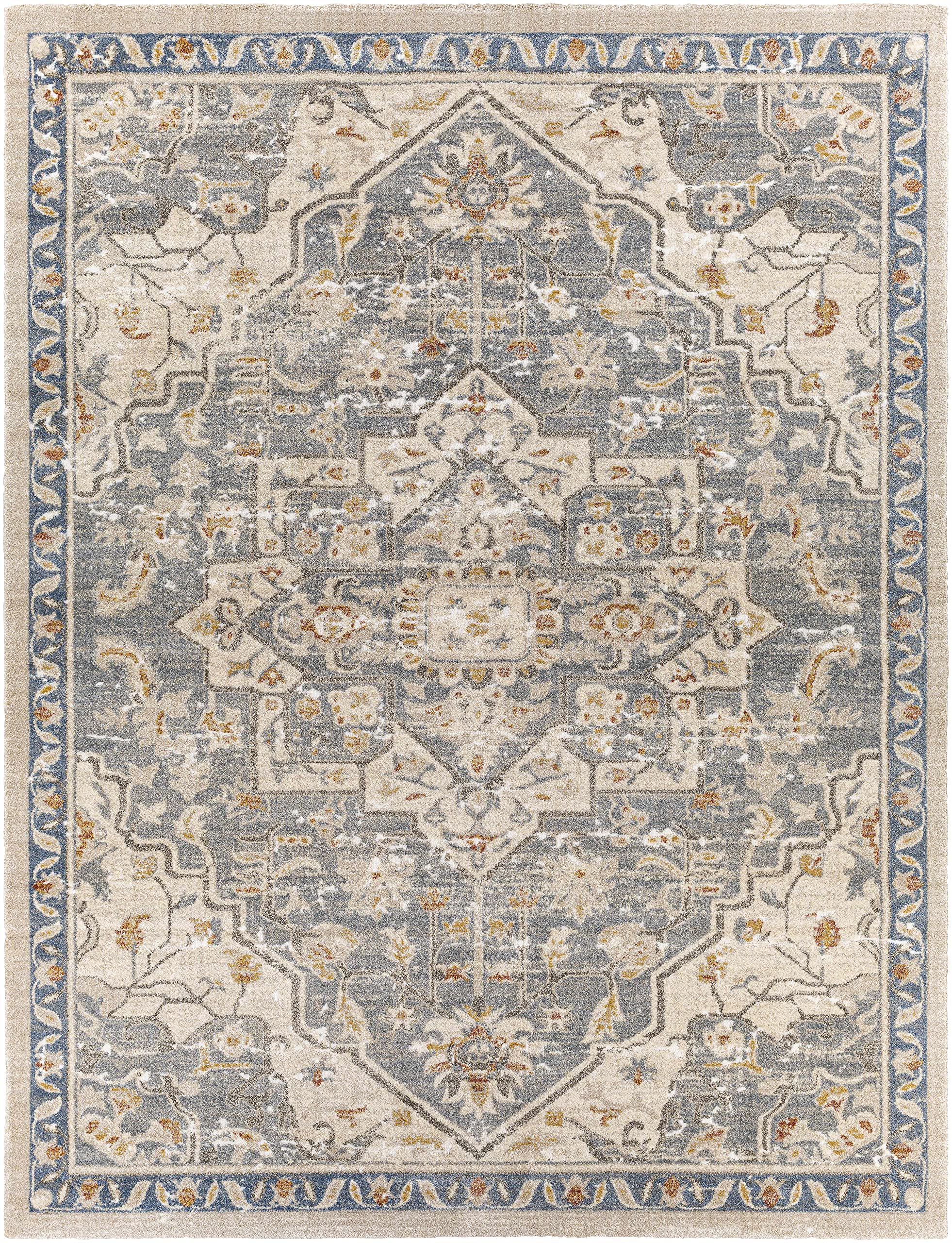Premium Hauteloom Chesnee Traditional High-Pile Area Rug - Blue & Yellow 7'10