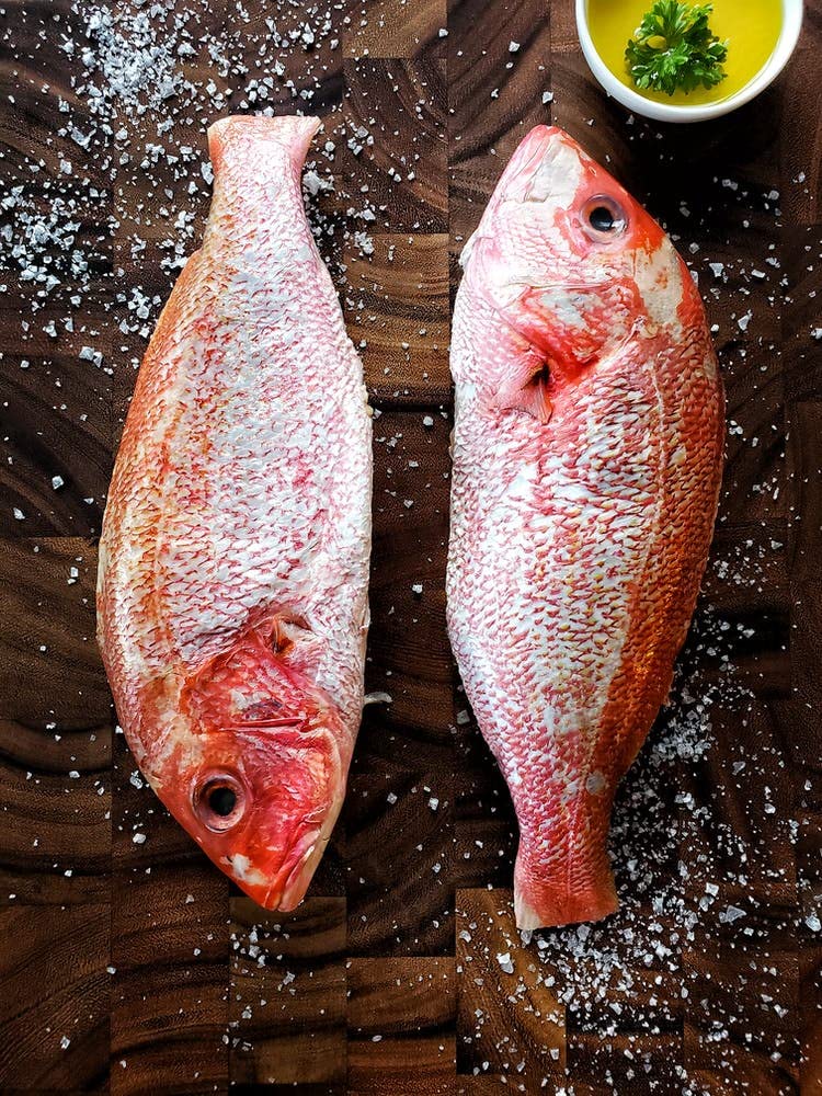 Fresh Whole Wild Red Snapper - 5 Pieces | Premium Gourmet Seafood | Sushi Grade Fish for Grilling, Baking & Asian Cuisine