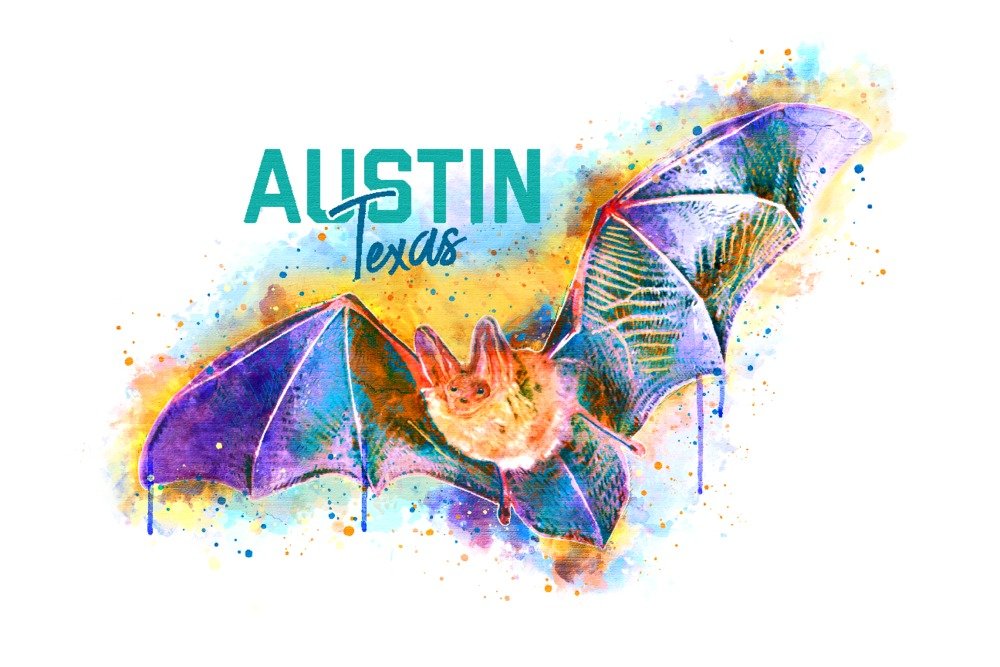 Texas Bat Watercolor Art Print - 36x54 Giclee Gallery Wall Decor - Austin Travel Poster for Home & Office Decoration | Perfect for Nature Lovers & Texas-Themed Interior Design