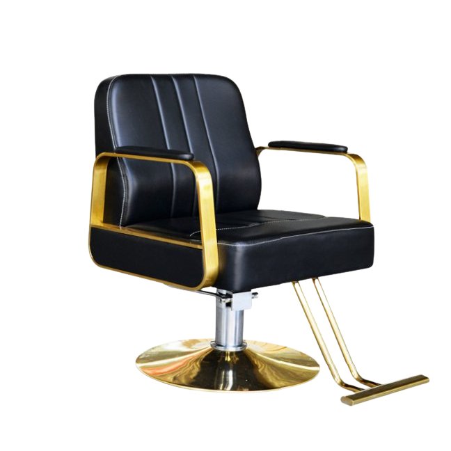 Greenlife Advance All Purpose Hydraulic Styling Chair - Adjustable Height Salon & Barber Chair with 360° Swivel for Hairdressing, Makeup, Tattoo & Massage - Perfect for Salons, Spas & Home Use
