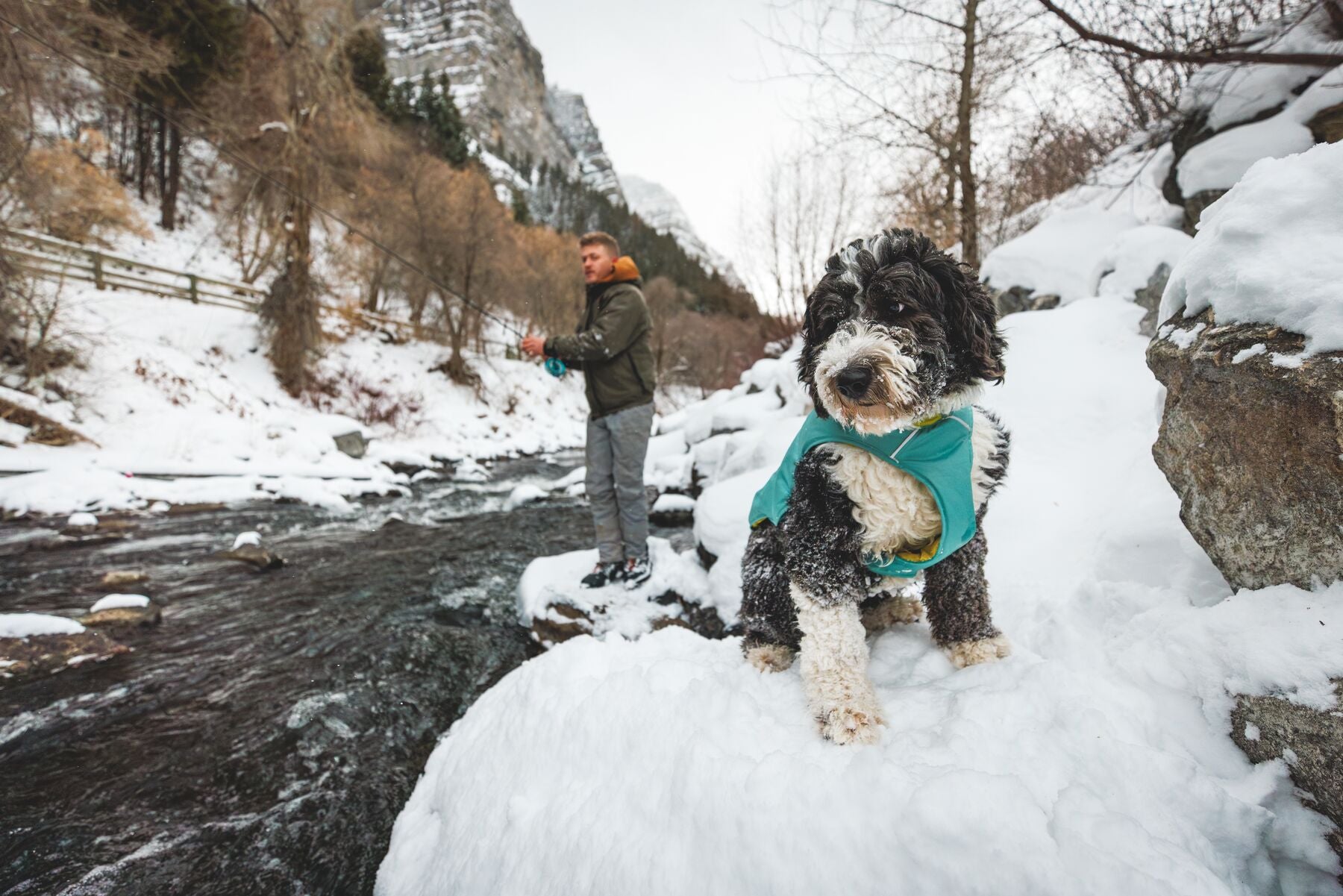 Ruffwear Quinzee™ Insulated & Foldable Dog Jacket - Fireweed Pink | Warm & Water-Resistant for Outdoor Adventures, Hiking & Cold Weather Protection