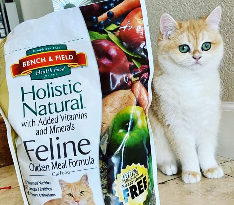 Premium Holistic Natural Adult Dry Cat Food - Chicken Meal & Brown Rice Recipe, 25lb Bag | High Protein Grain-Inclusive Kibble for Indoor & Outdoor Cats | Supports Healthy Digestion & Shiny Coat