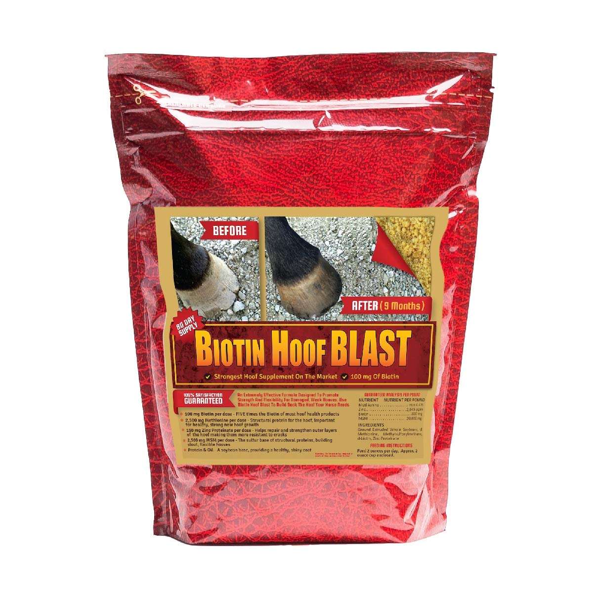 Premium Biotin Hoof Supplement for Horses - 100mg Biotin per Serving, 10lb Bag | Strengthen Hooves with MSM & Methionine | Ideal for Show Horses, Trail Riding & Hoof Recovery