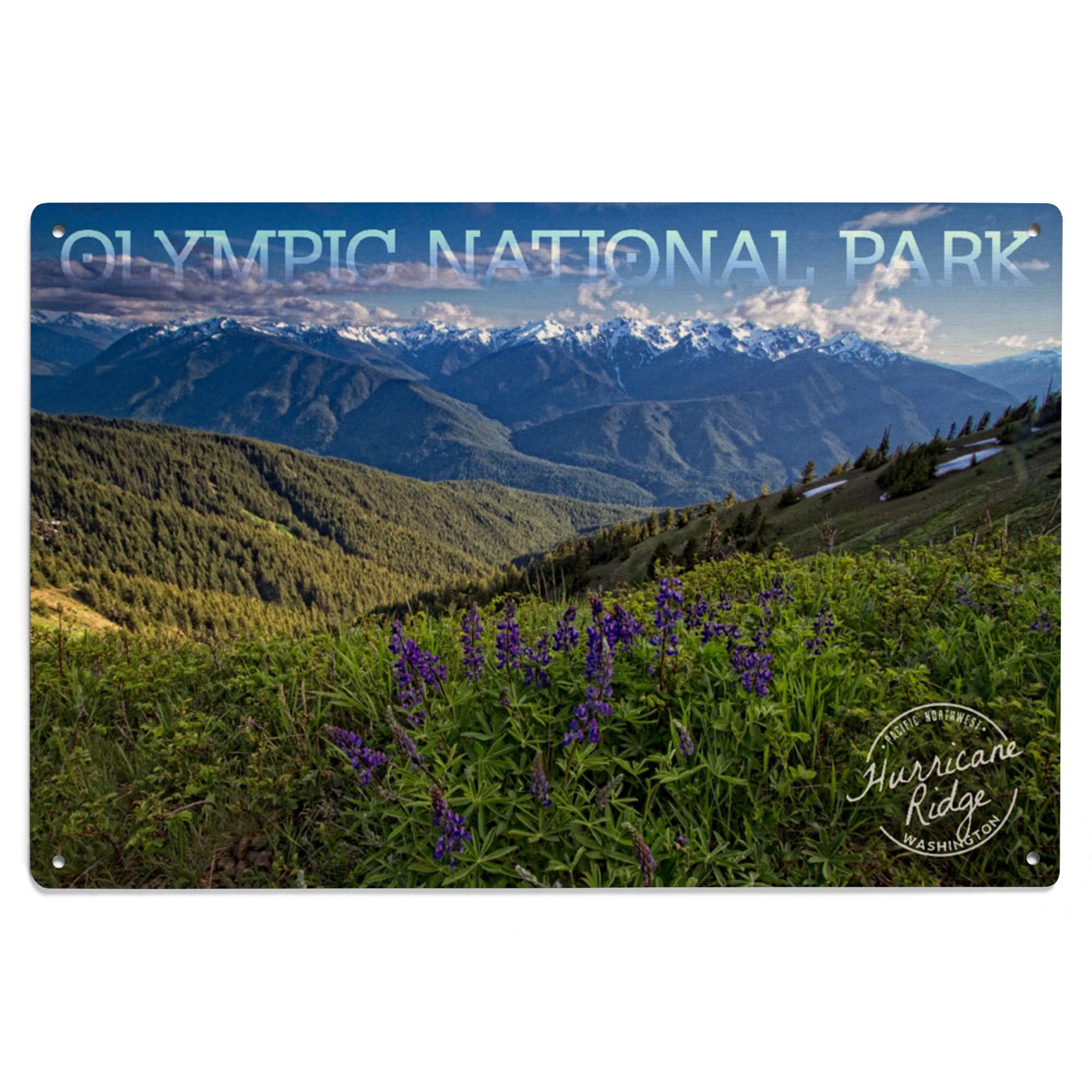 Lantern Press 6x9 Inch Wooden Wall Sign - Olympic National Park Washington Art Decor with Hurricane Ridge & Deer Park Scenes - Perfect for Home, Office, or Cabin Decoration