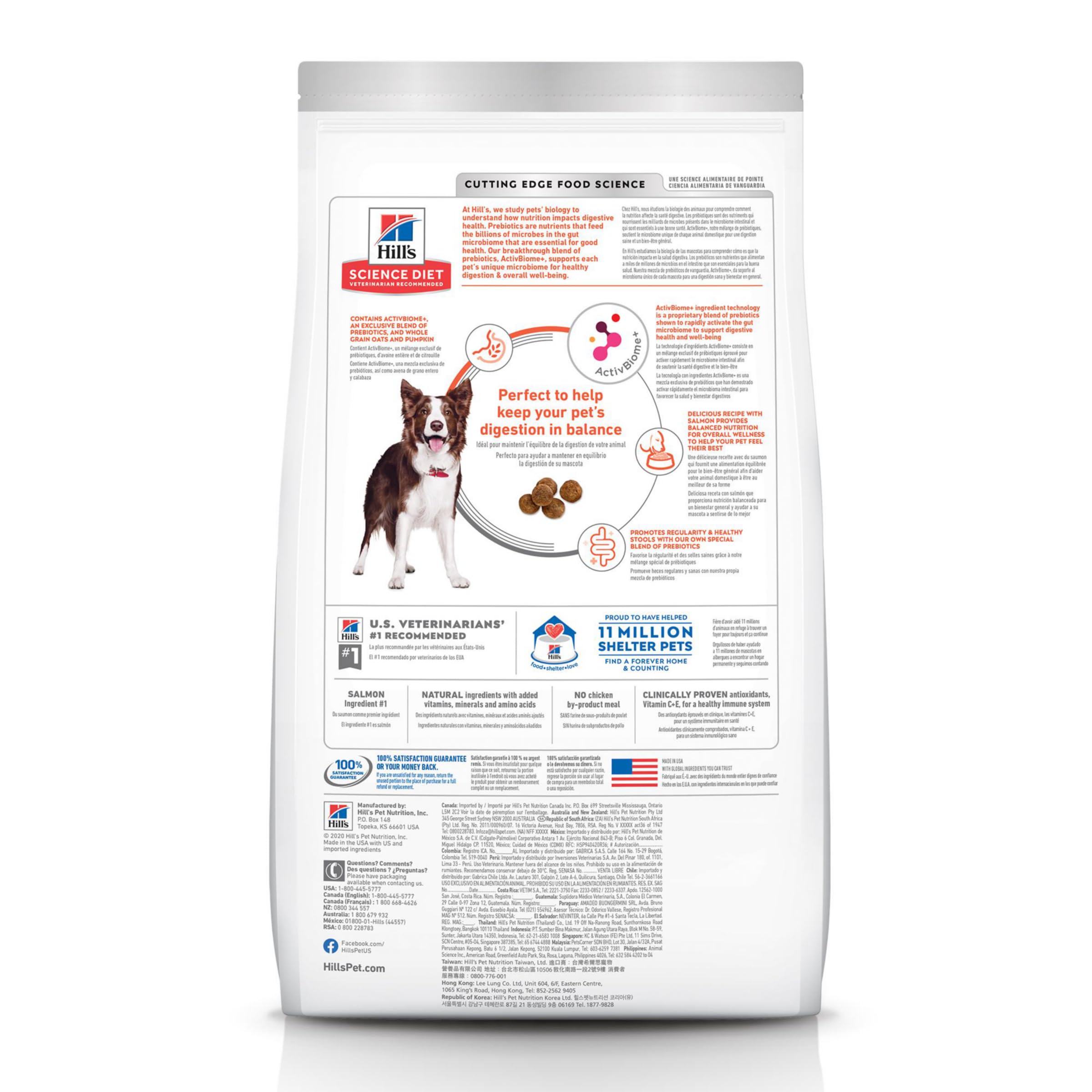 Hill's Science Diet Perfect Digestion Adult Dry Dog Food for Dogs 1-6 Years - Digestive Support with Salmon, Brown Rice & Whole Oats - 22 lb Bag - Ideal for Sensitive Stomachs & Daily Nutrition