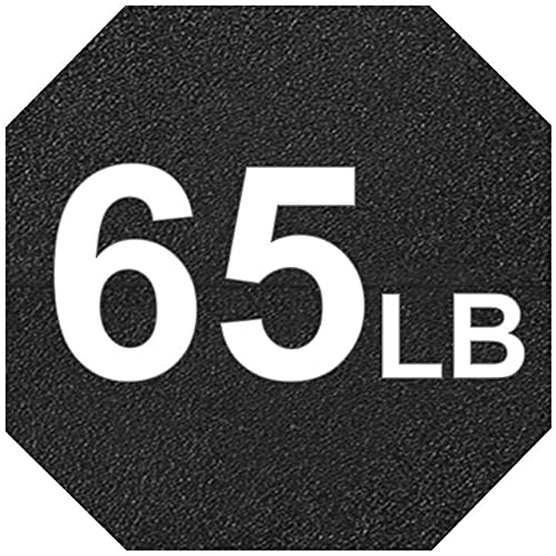 p. 65 LB Pair (2 x 65lb)