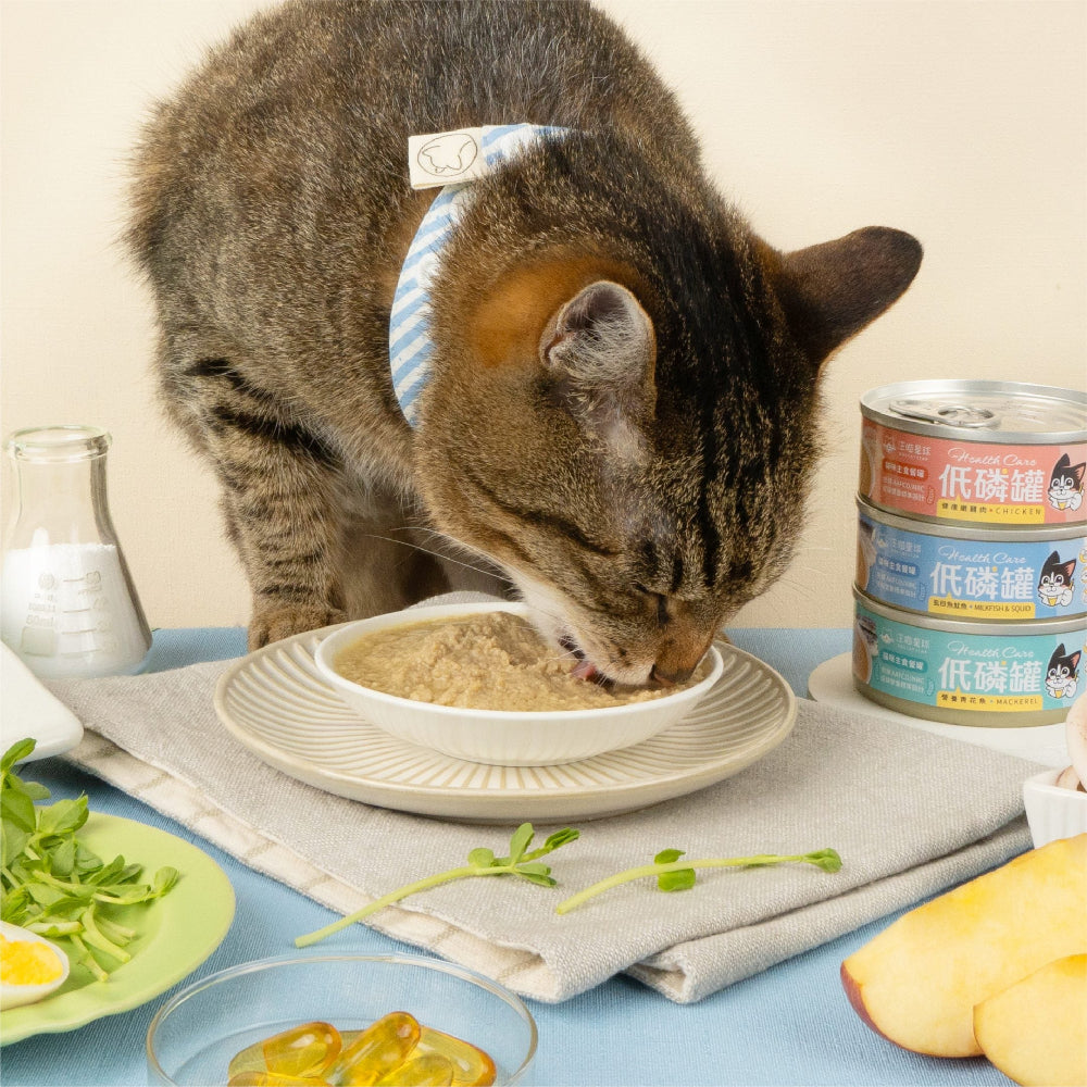 Low Phosphorus Mackerel Cat Food - Complete & Balanced Nutrition for Kidney Health - Perfect for Senior Cats & Feline Renal Care Diets