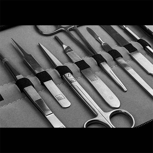 Premium 15-Piece Stainless Steel Coral Fragging Tool Kit with Deluxe Carrying Case - Essential for Saltwater Aquarium Maintenance, Coral Propagation & Reef Tank Care