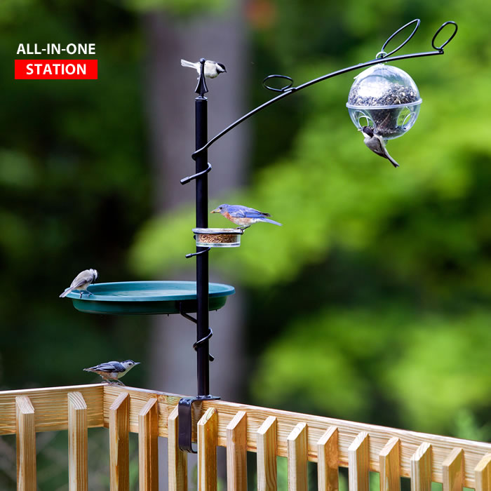 Premium Deck Station with Bird Bath, Feeder & Dish - Attract Birds to Your Garden, Patio or Backyard - Perfect for Bird Watching & Outdoor Decor