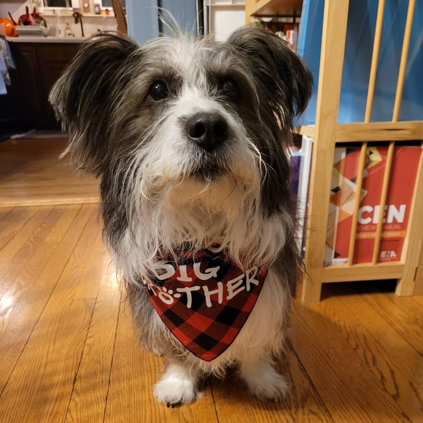 Big Brother Dog Bandana - Buffalo Plaid Pet Scarf for Pregnancy Announcement - Perfect for Christmas, New Year & Family Photo Shoots