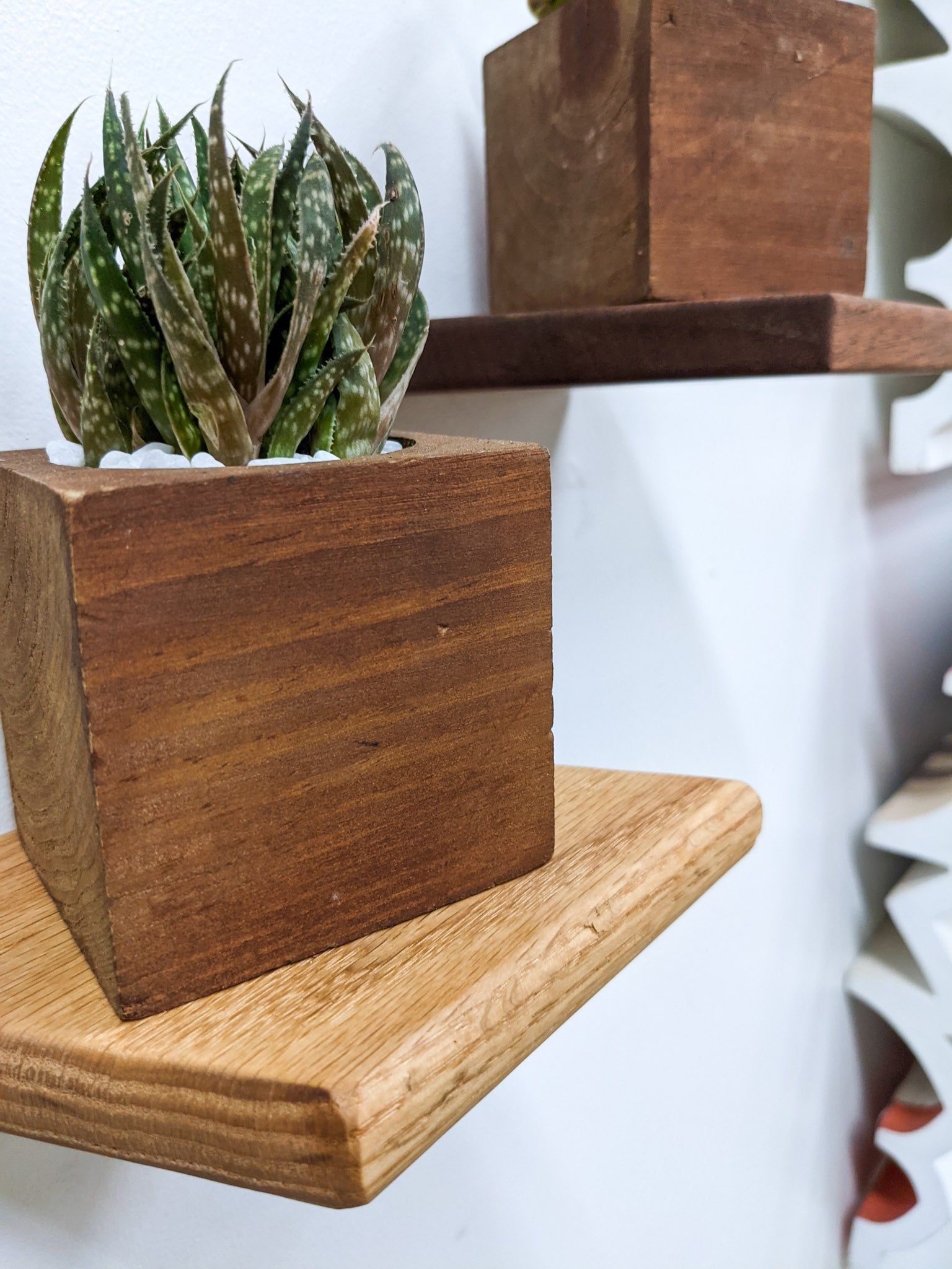 Stylish Oak Rhombus Display Shelf - Perfect for Home Decor, Books & Collectibles | Small Wall Shelf for Living Room, Bedroom & Office
