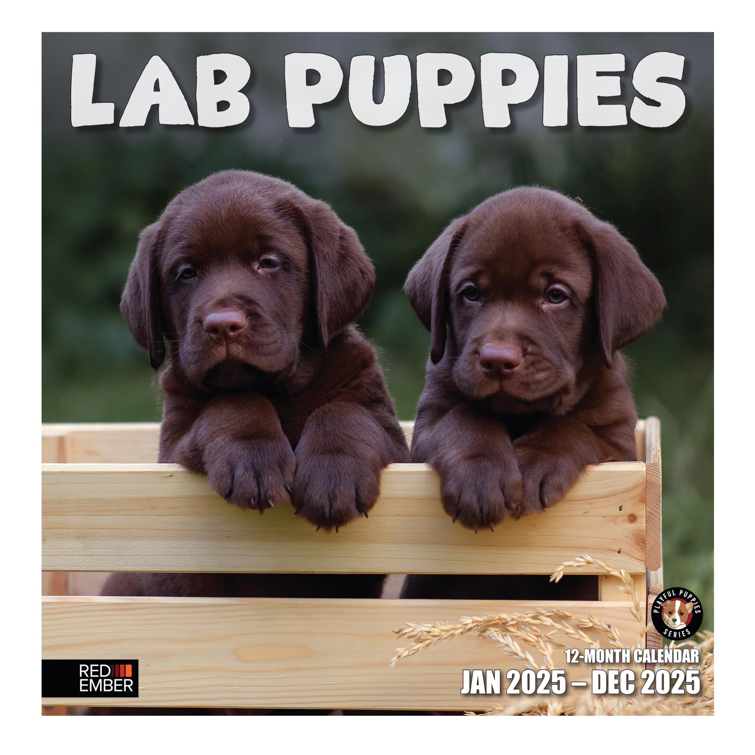 RED EMBER Lab Puppies 2025 Wall Calendar - 12 Month Large Format (12x24 Inches) with Thick Sturdy Paper - Perfect Gift for Dog Lovers - Ideal for Home, Office, or Classroom Decoration
