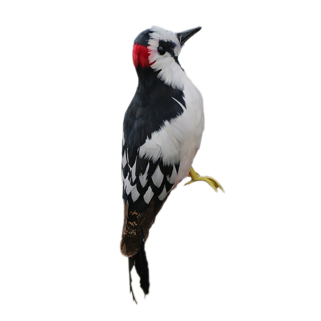 MERIGLARE Artificial Bird with Polyethylene Feathers - Miniature Landscape Decor for Home, Garden, and DIY Crafts