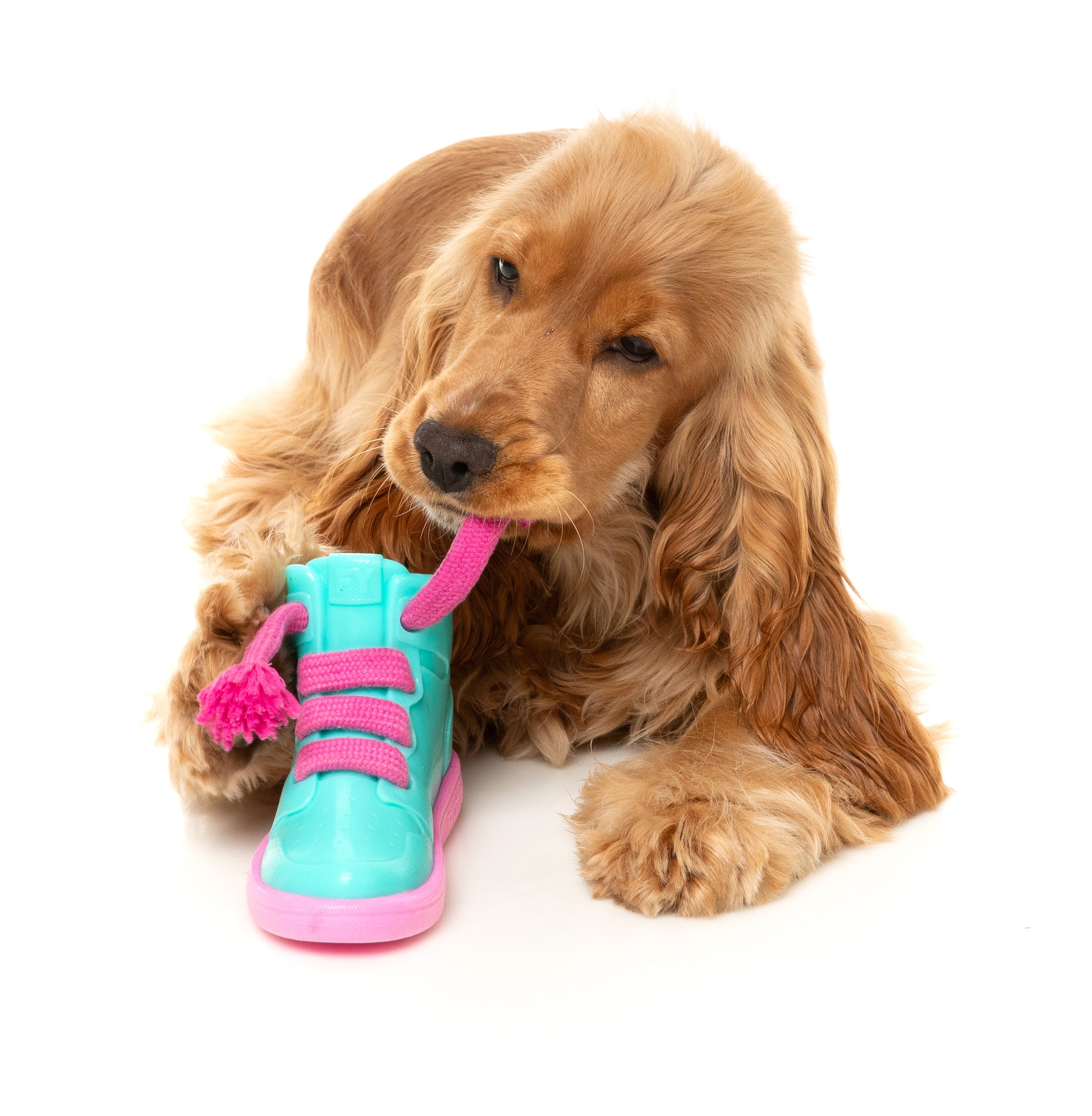 Fuzzyard Interactive Treat Dispensing Dog Chew Toy - Fun Puzzle Game for Dogs with Fresh Kicks N' Licks Flavor - Perfect for Boredom Relief & Dental Health