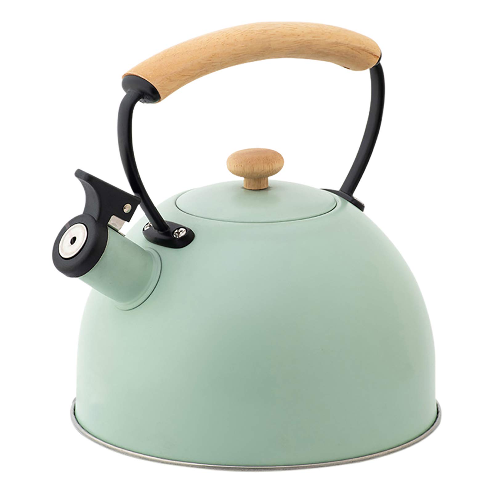 Premium 2.5L Stainless Steel Whistling Tea Kettle - Induction, Gas & Electric Stove Compatible with Heat-Resistant Handle - Classic Green - Perfect for Home Kitchen, Camping & Tea Lovers