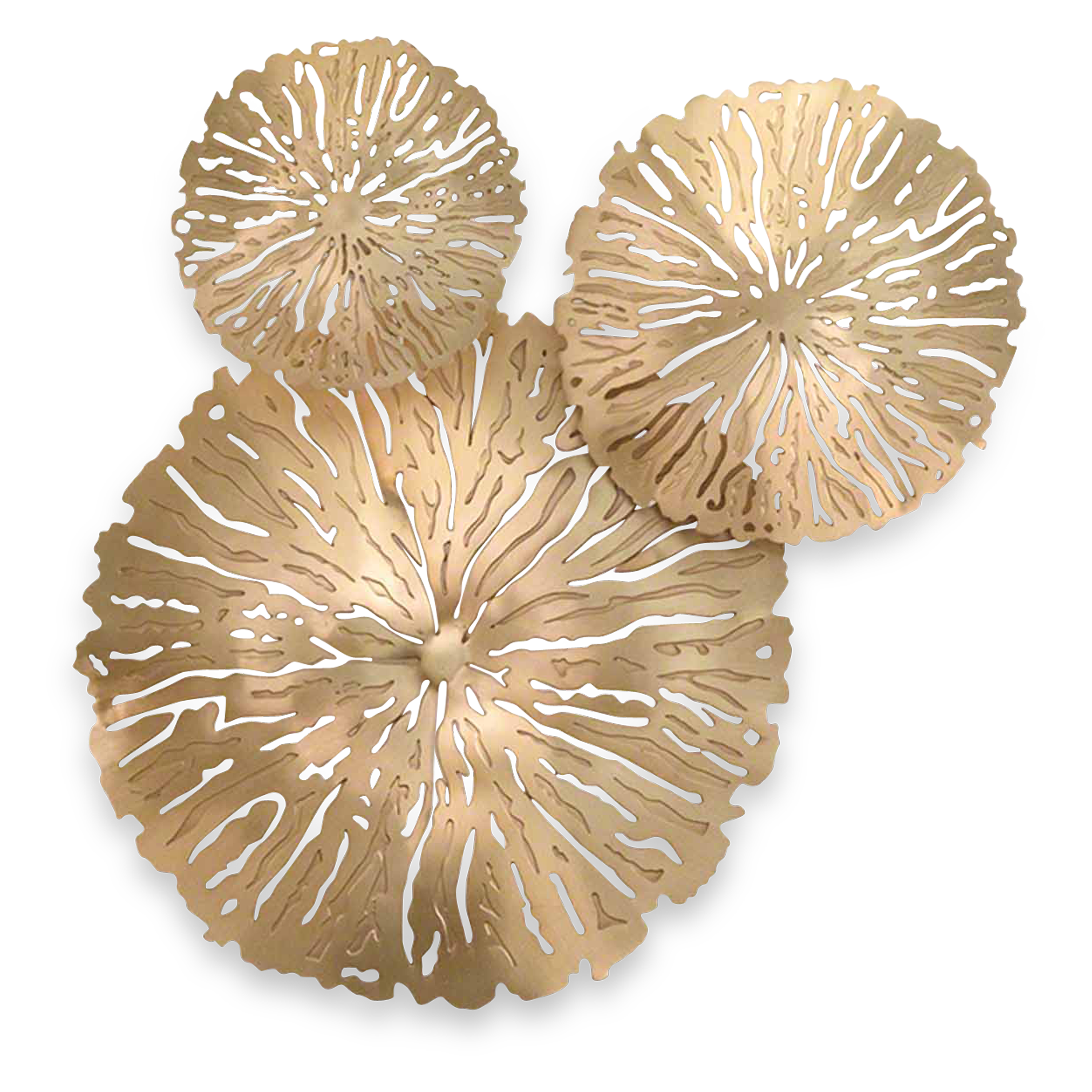 Lily Pad Cluster - Floating Aquatic Plants for Ponds & Water Gardens | Perfect for Natural Water Feature Decor & Fish Habitat